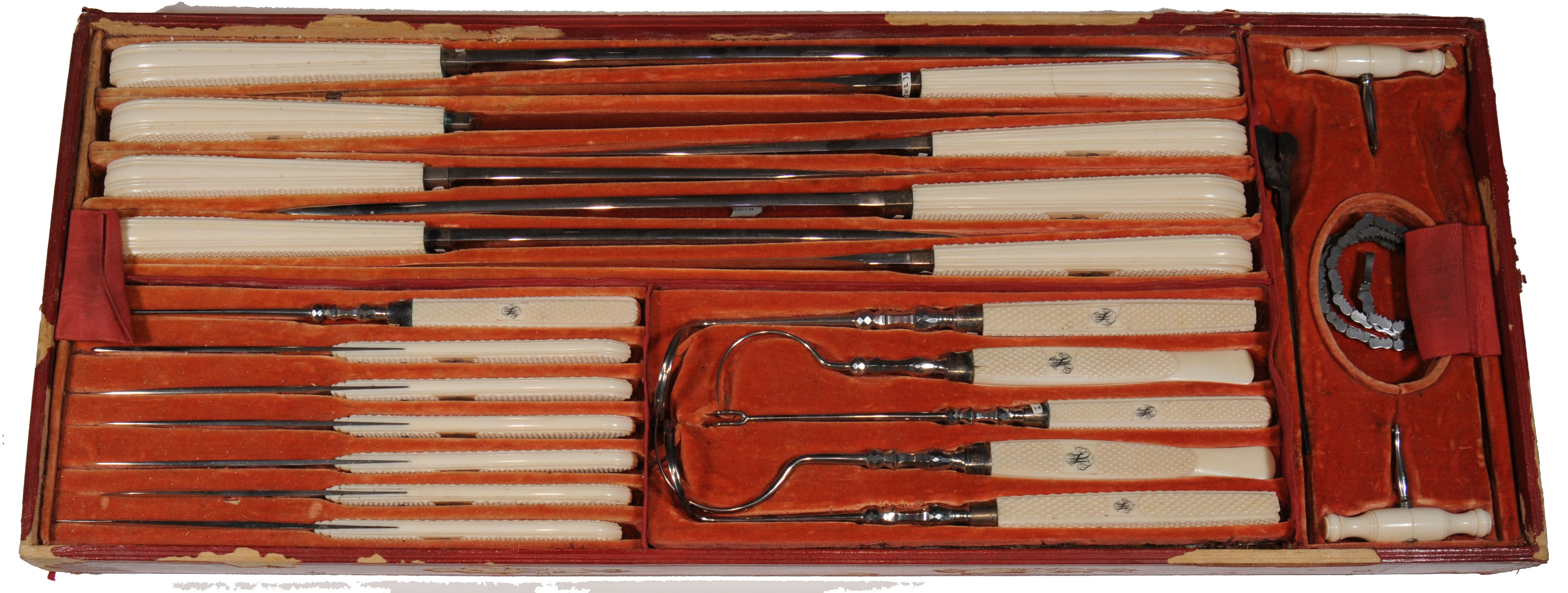 Enlarged image for image #2