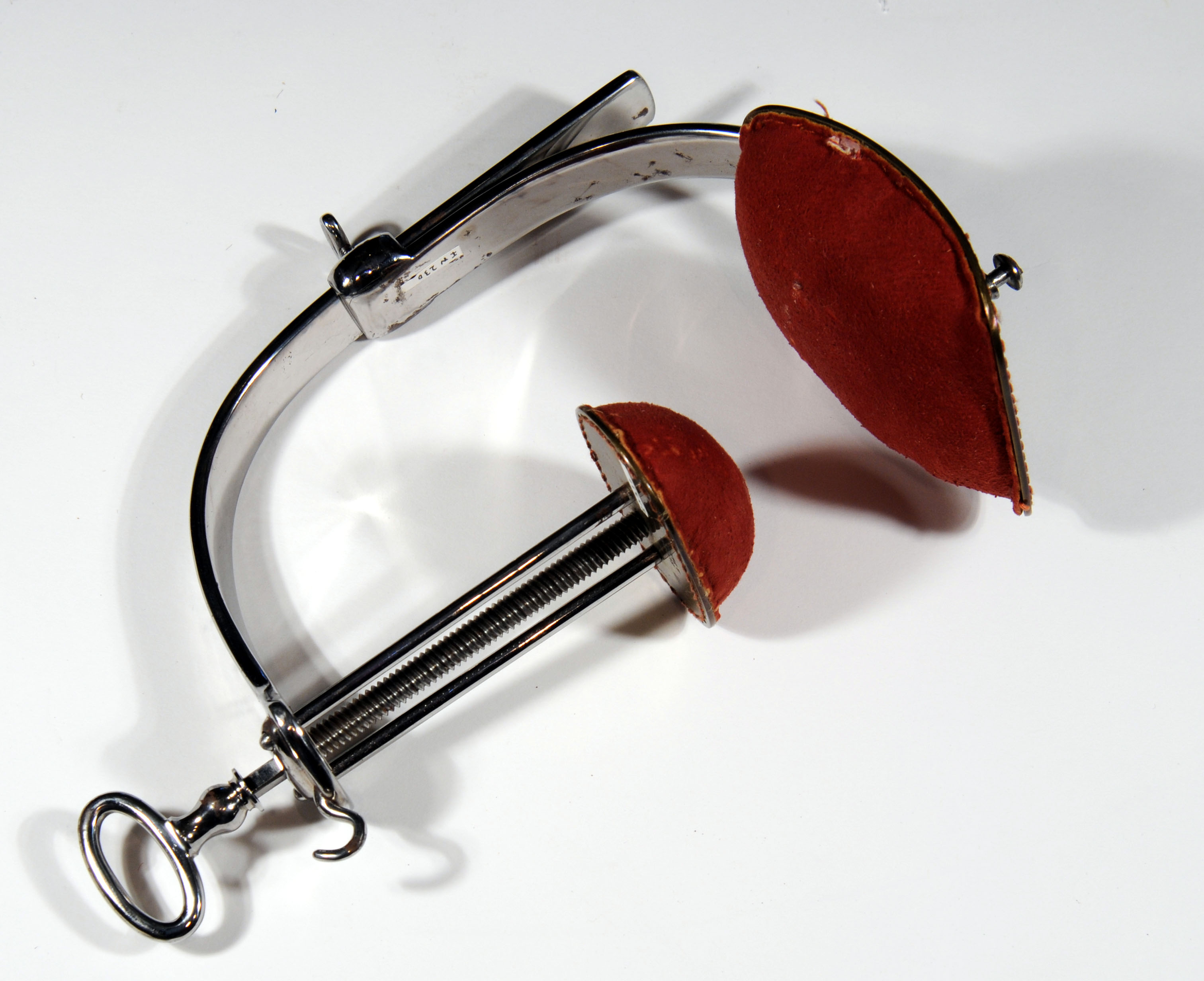 Enlarged image for image #9