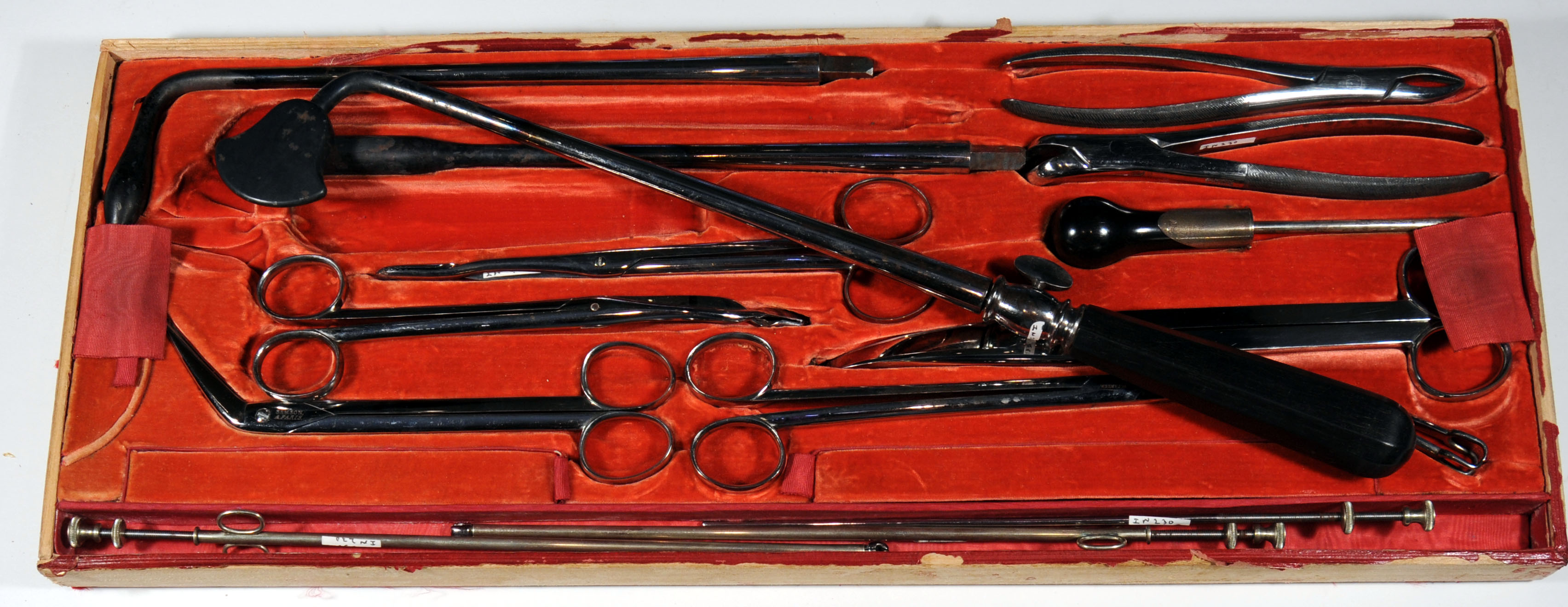 Enlarged image for image #10