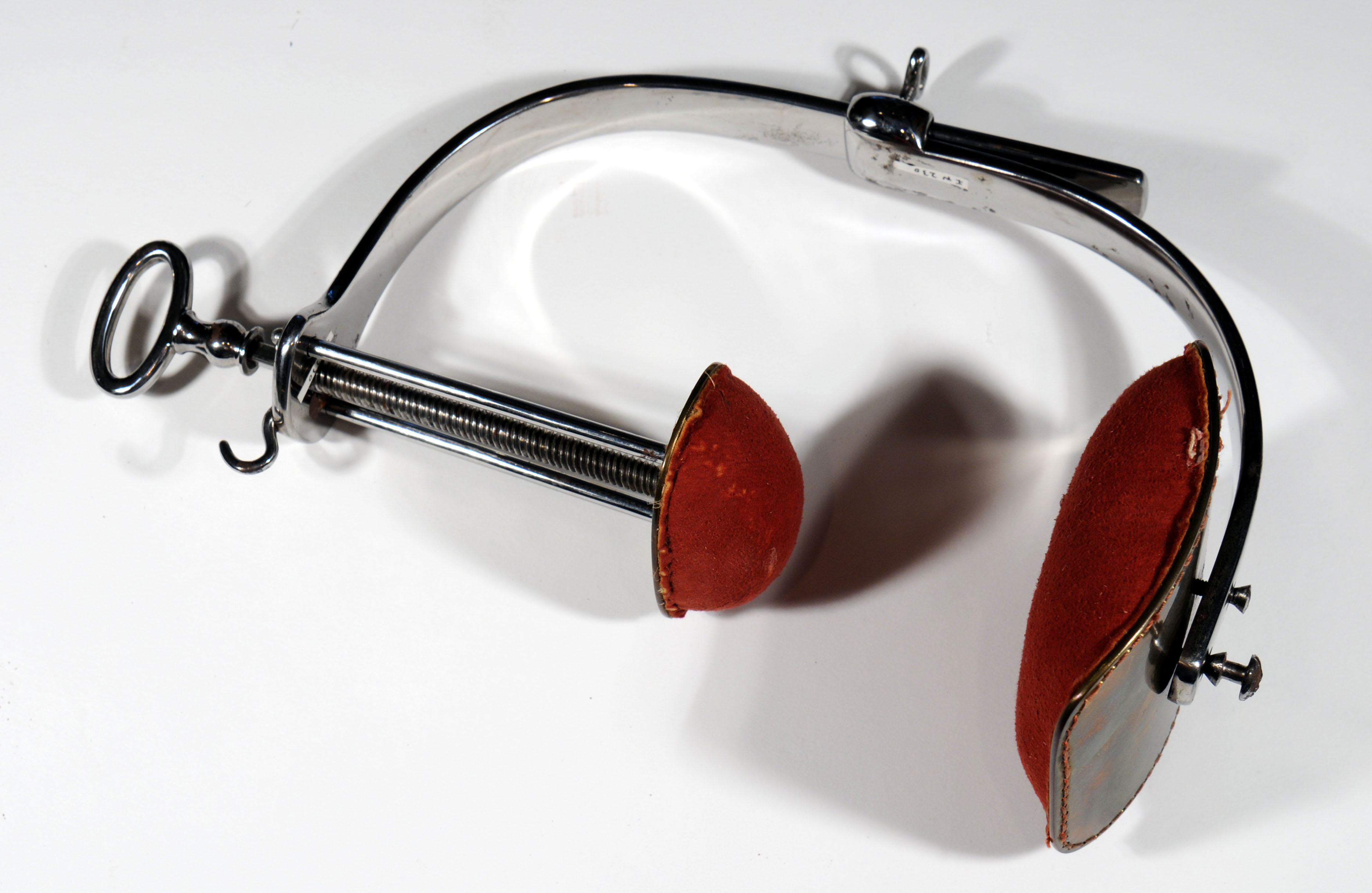 Enlarged image for image #12