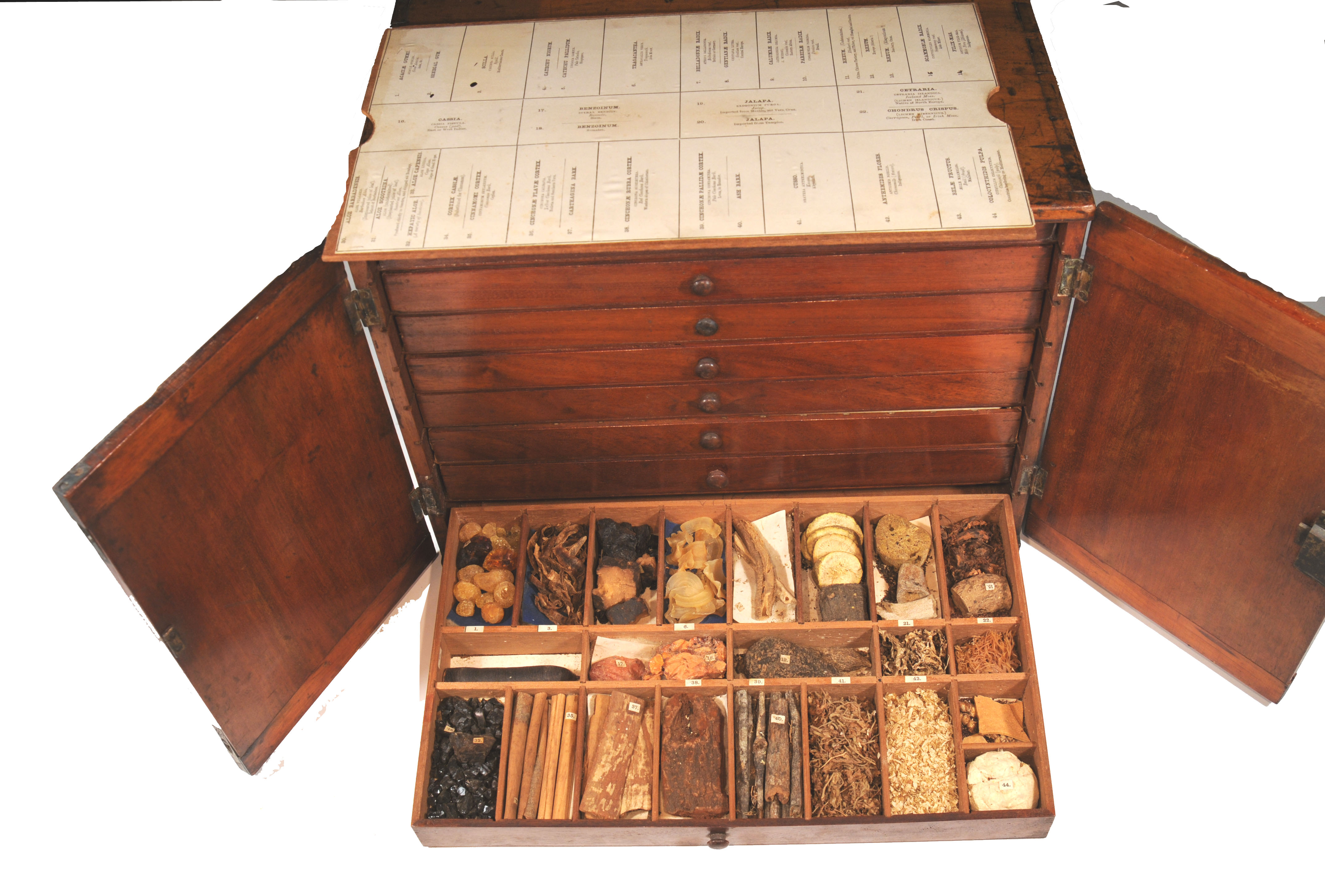 Enlarged image for image #4