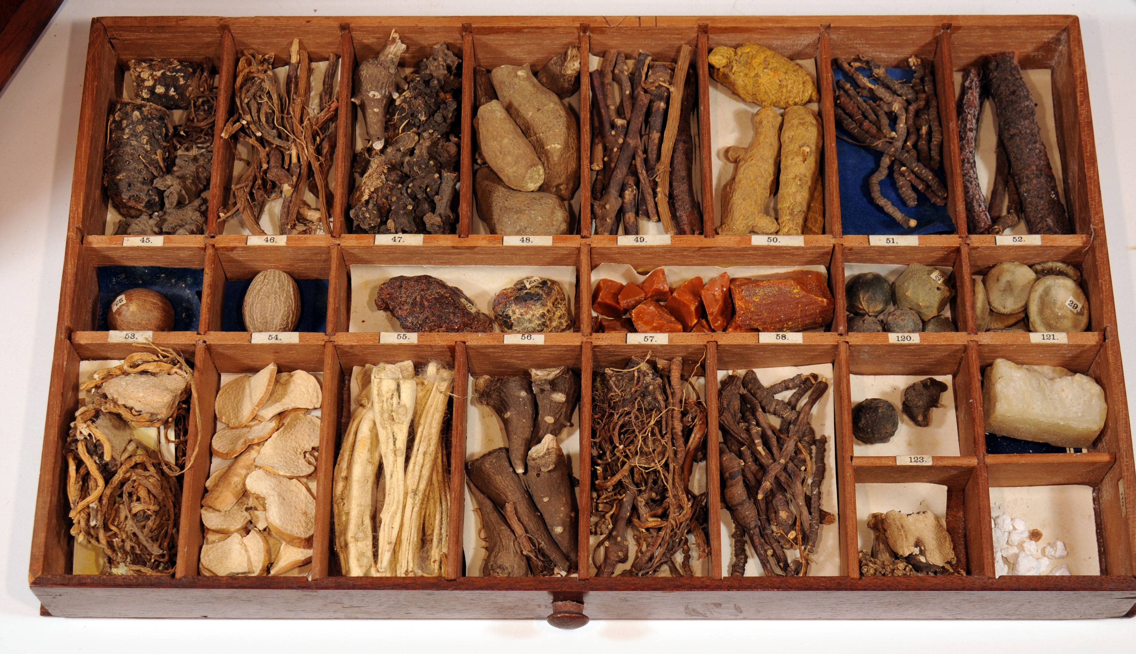 Enlarged image for image #6