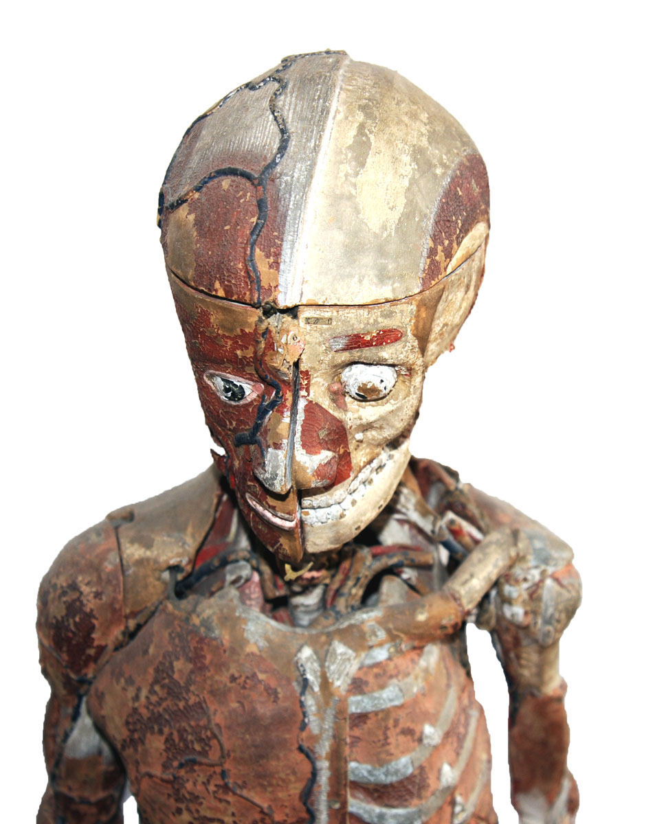 Enlarged image for image #3