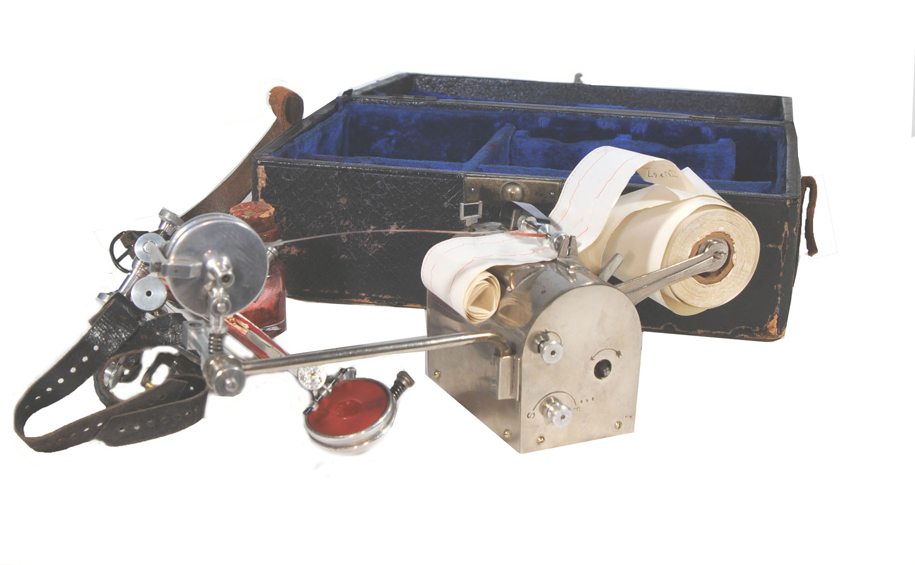 Enlarged image for image #1