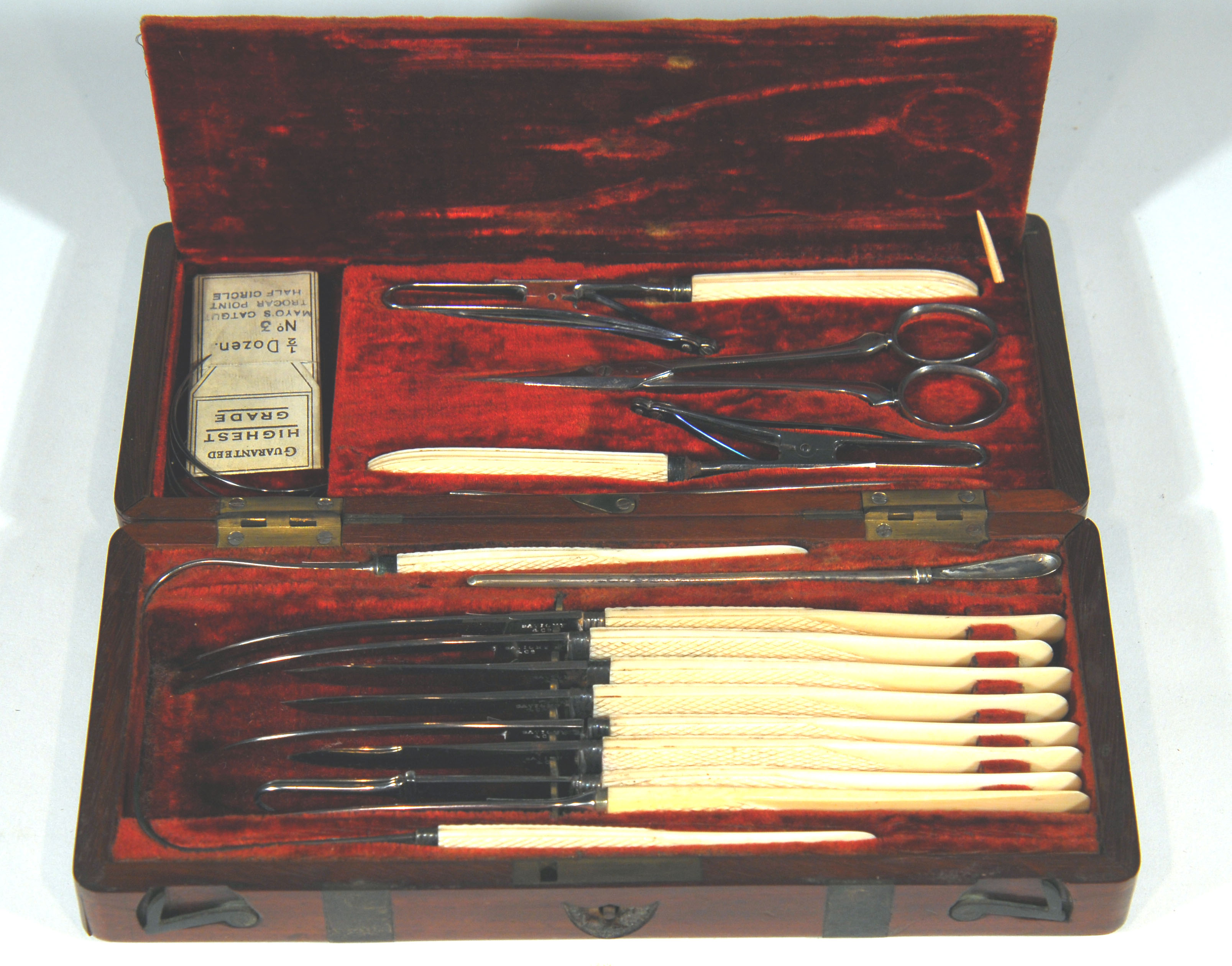 Enlarged image for image #2