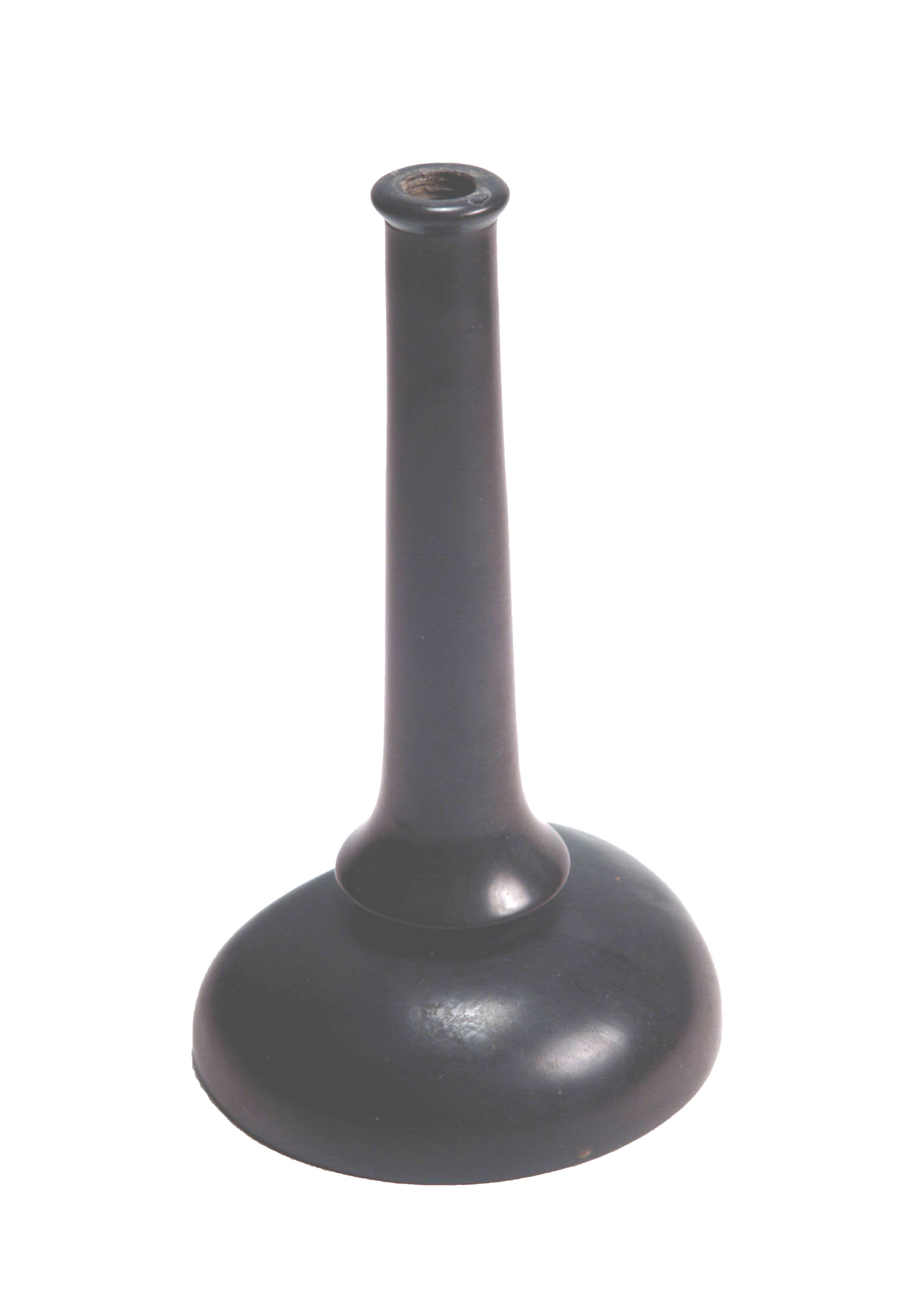 Enlarged image for image #2