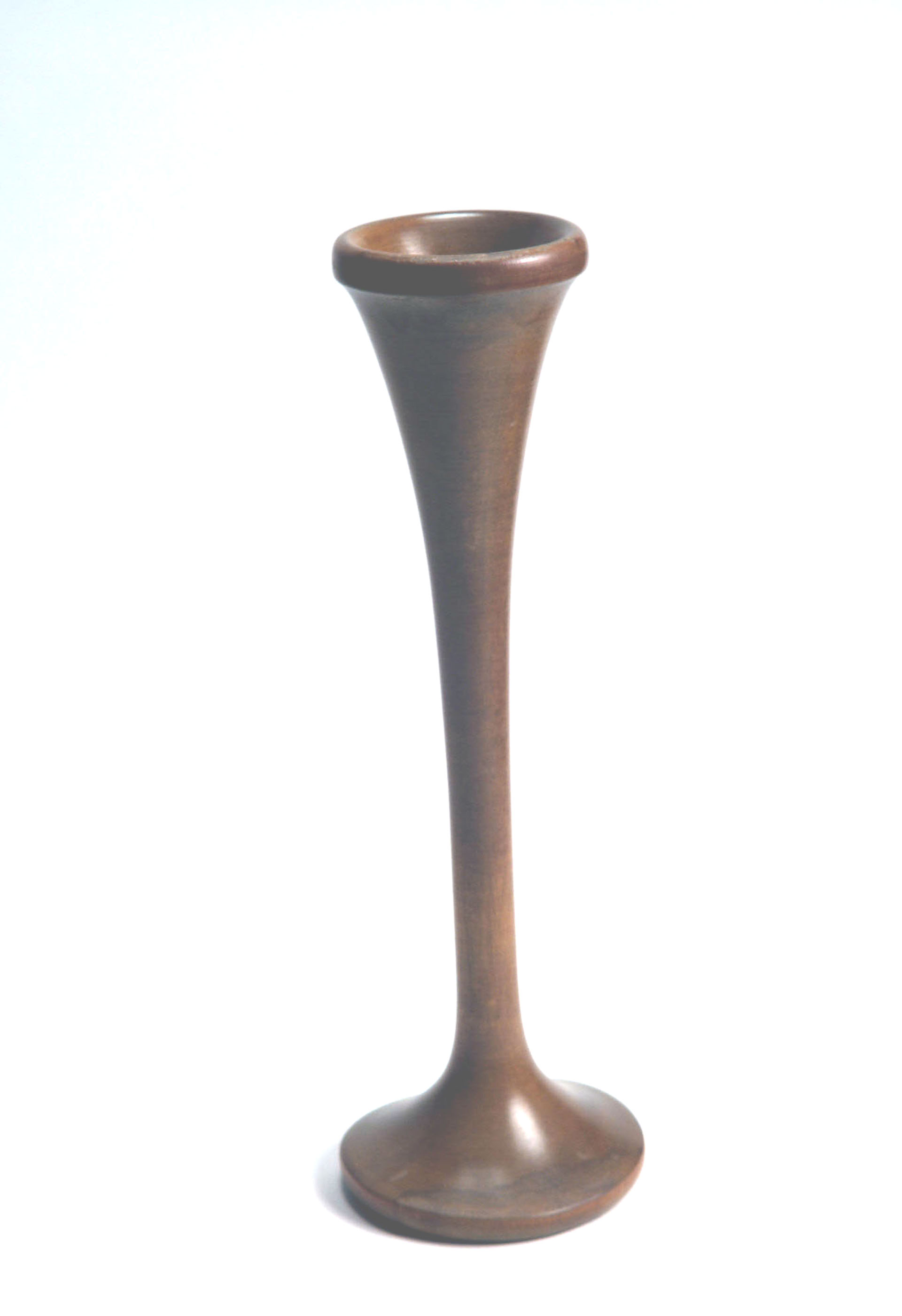 Enlarged image for image #1