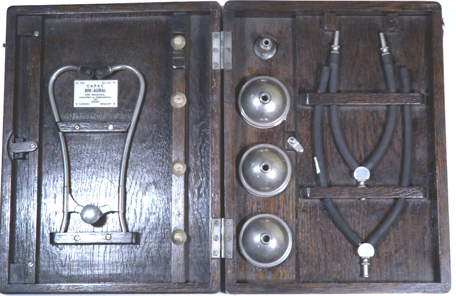 Enlarged image for image #1