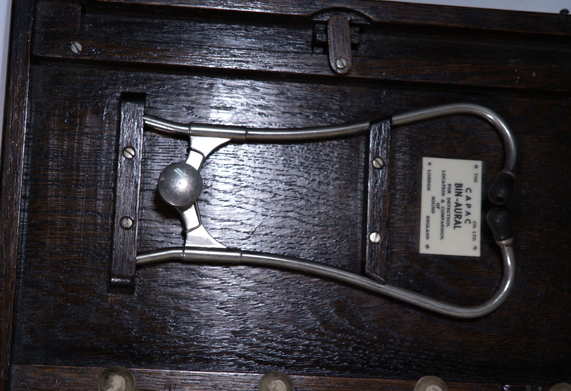 Enlarged image for image #3