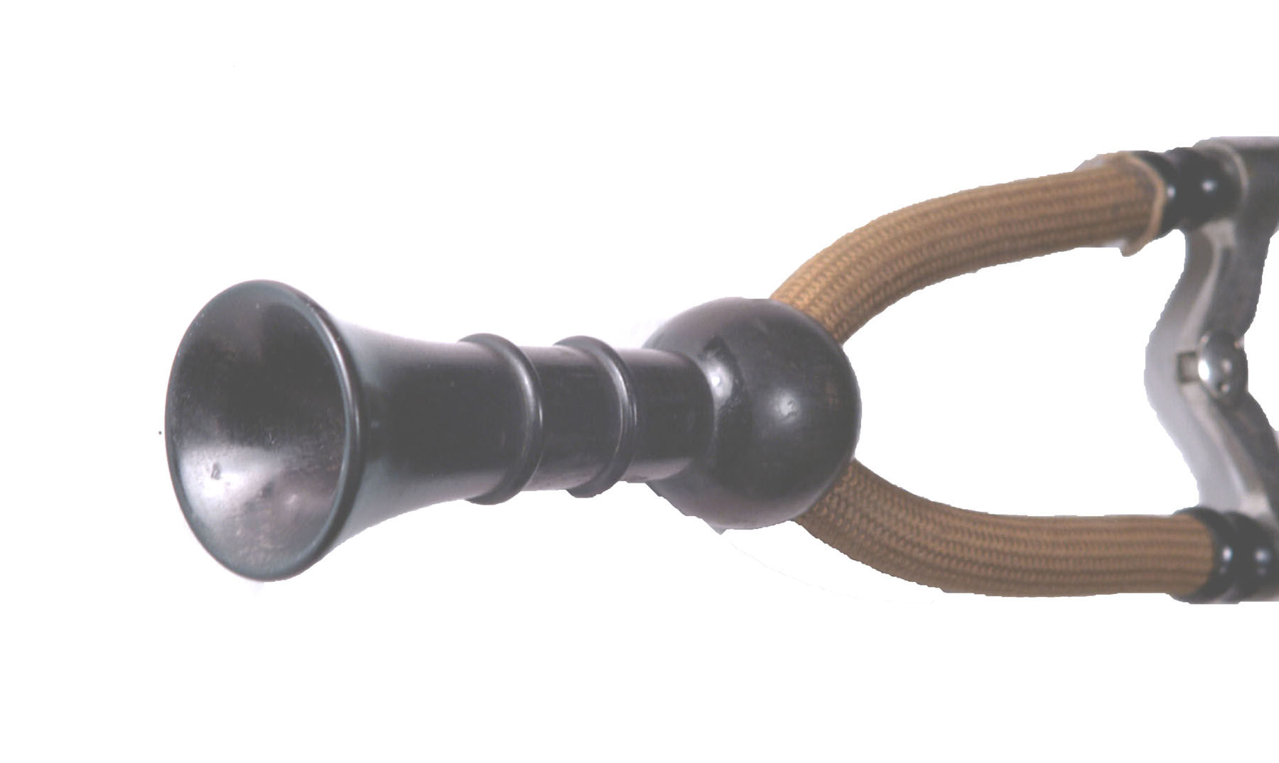 Enlarged image for image #2