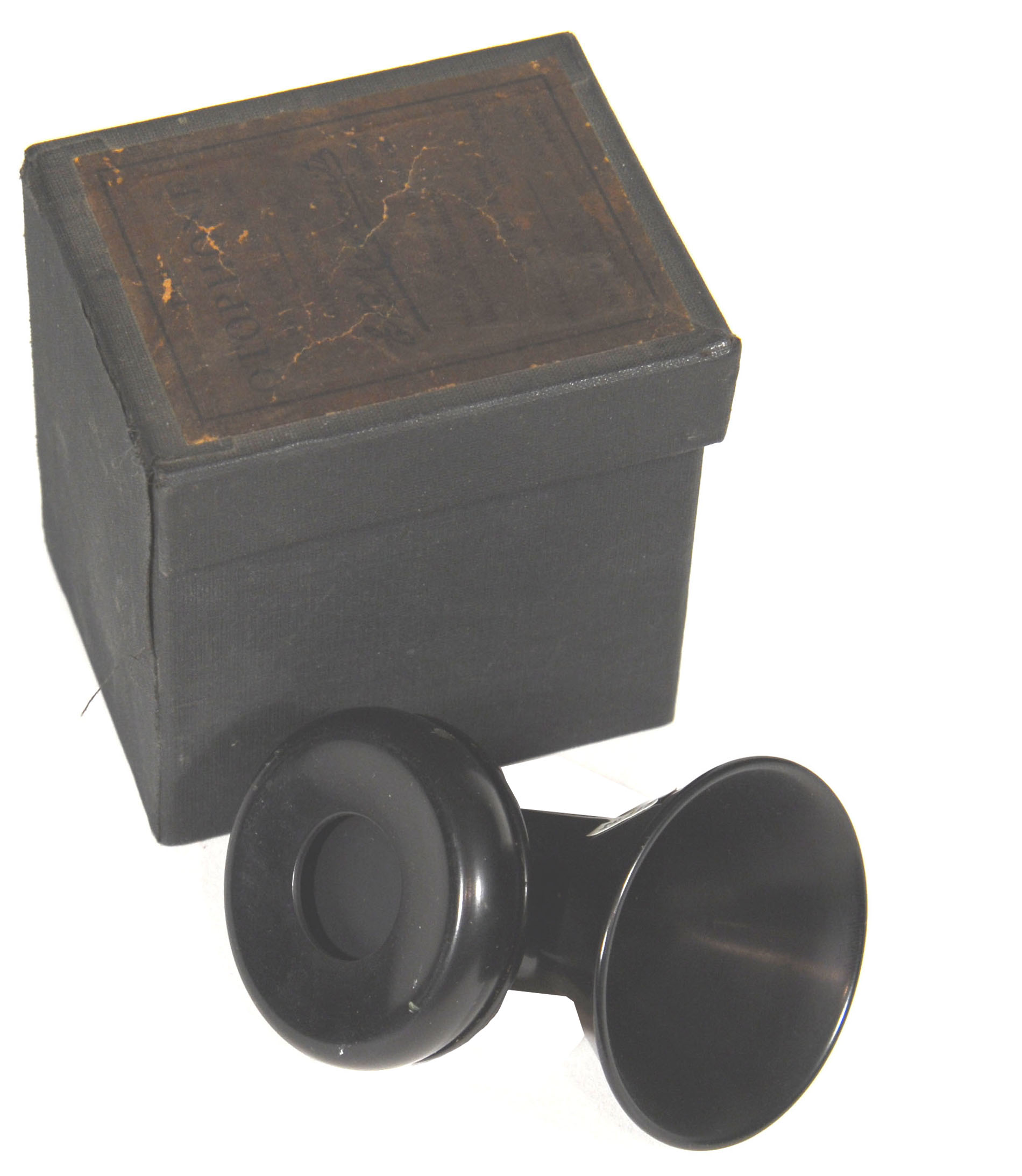 Enlarged image for image #1