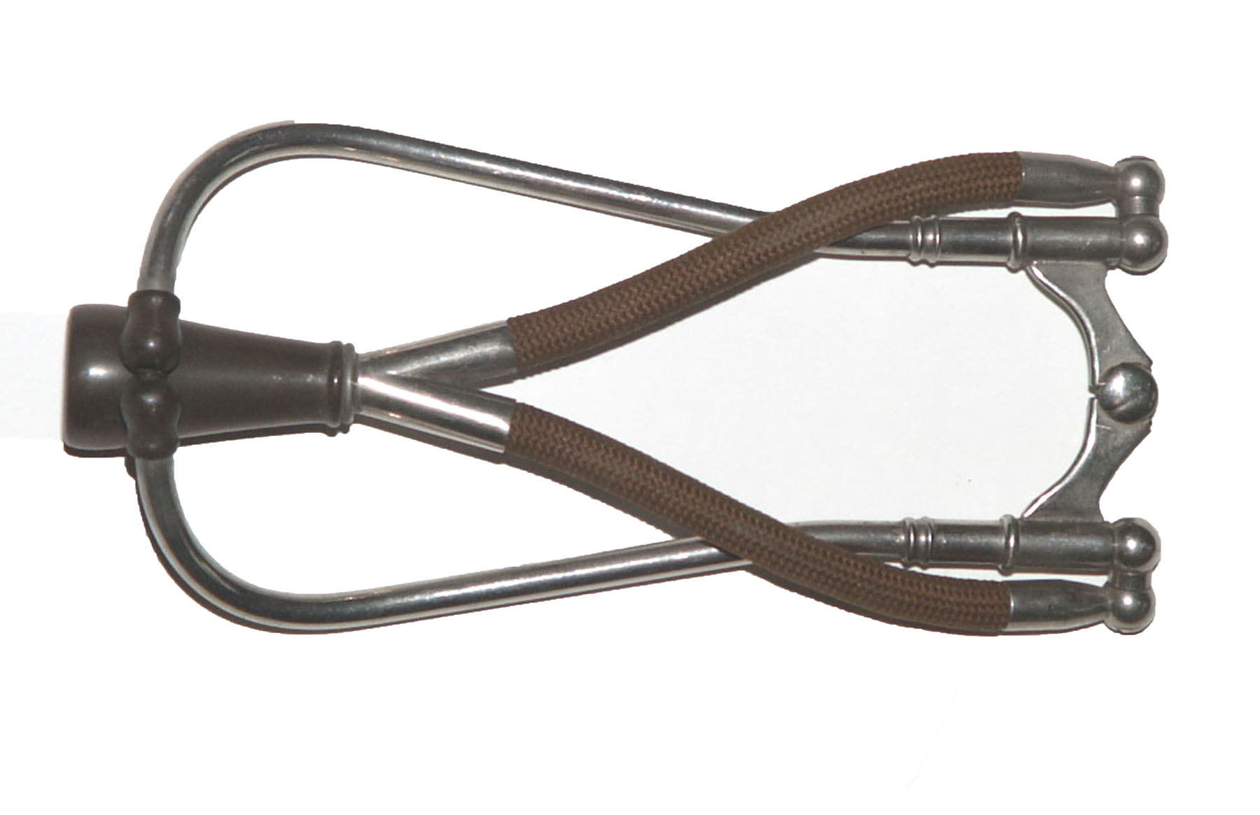 Enlarged image for image #1