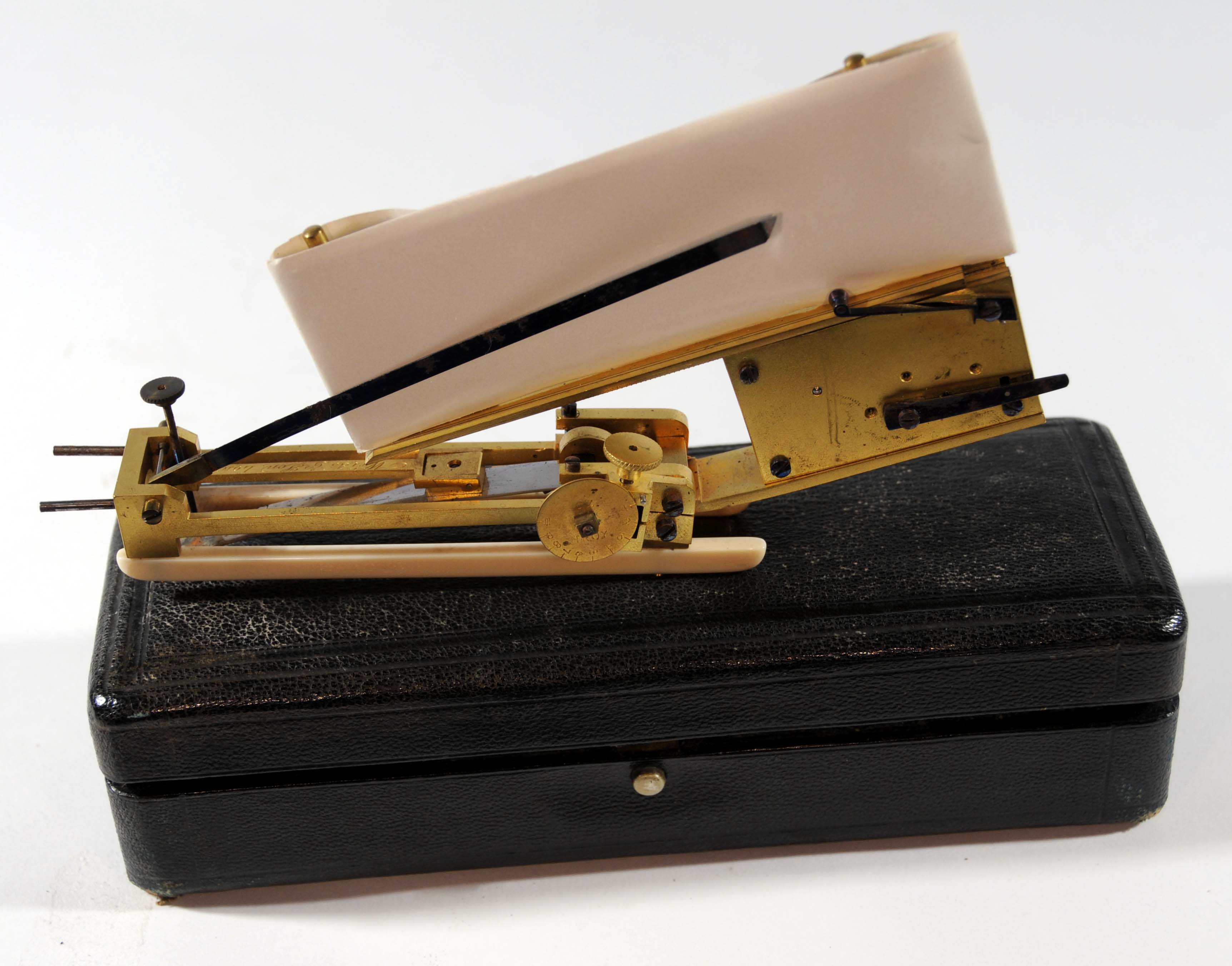 Enlarged image for image #1