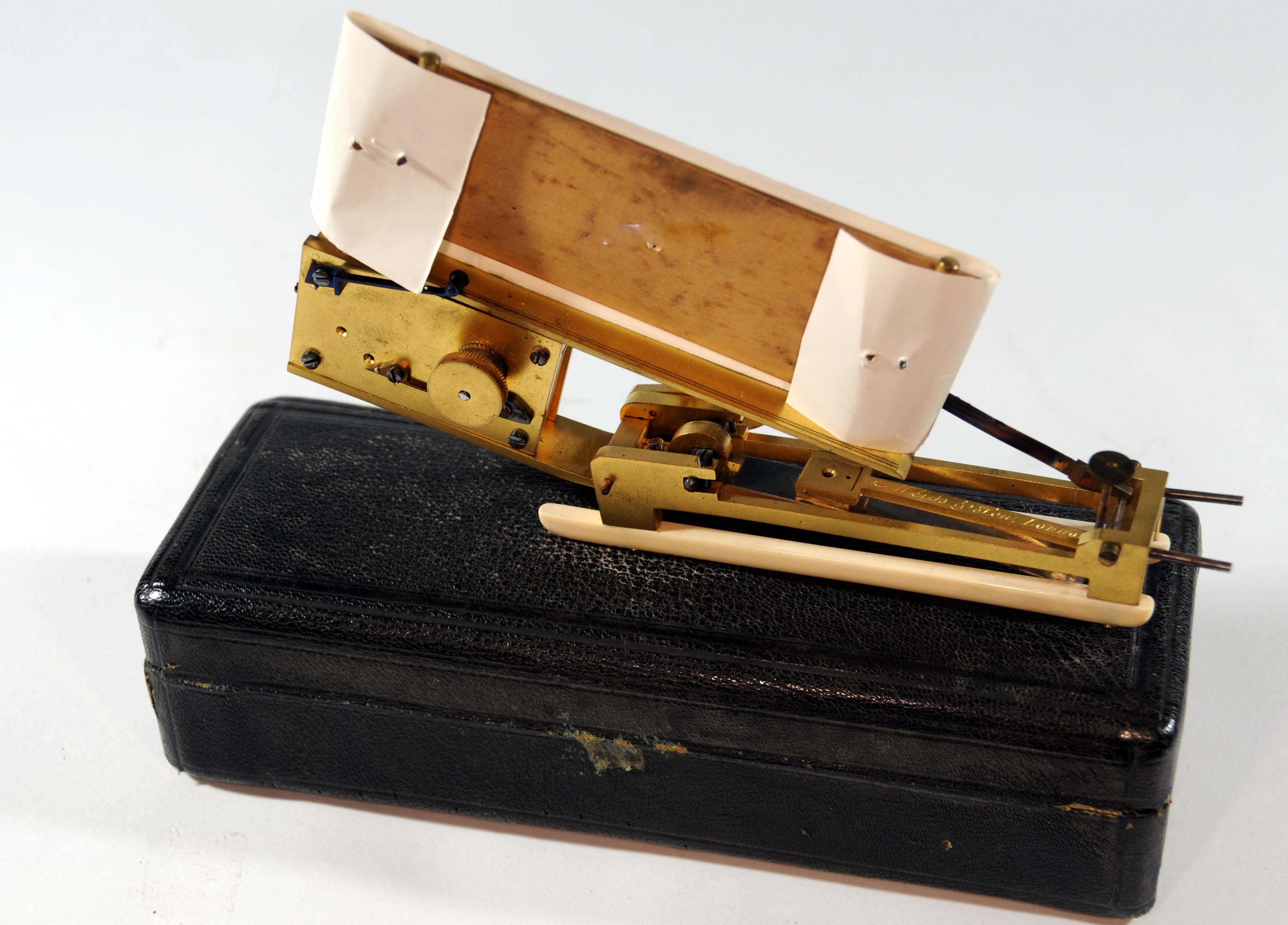 Enlarged image for image #2