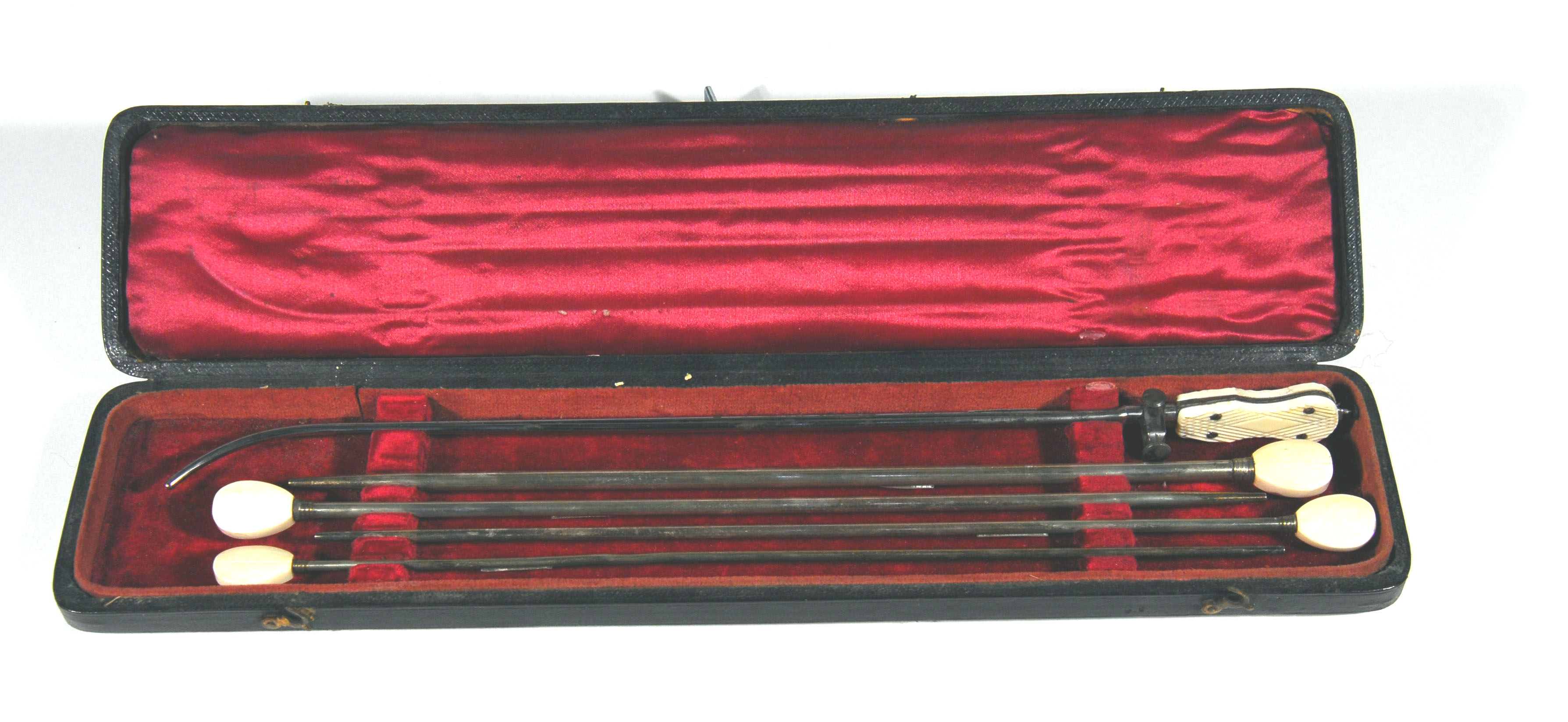 Enlarged image for image #1