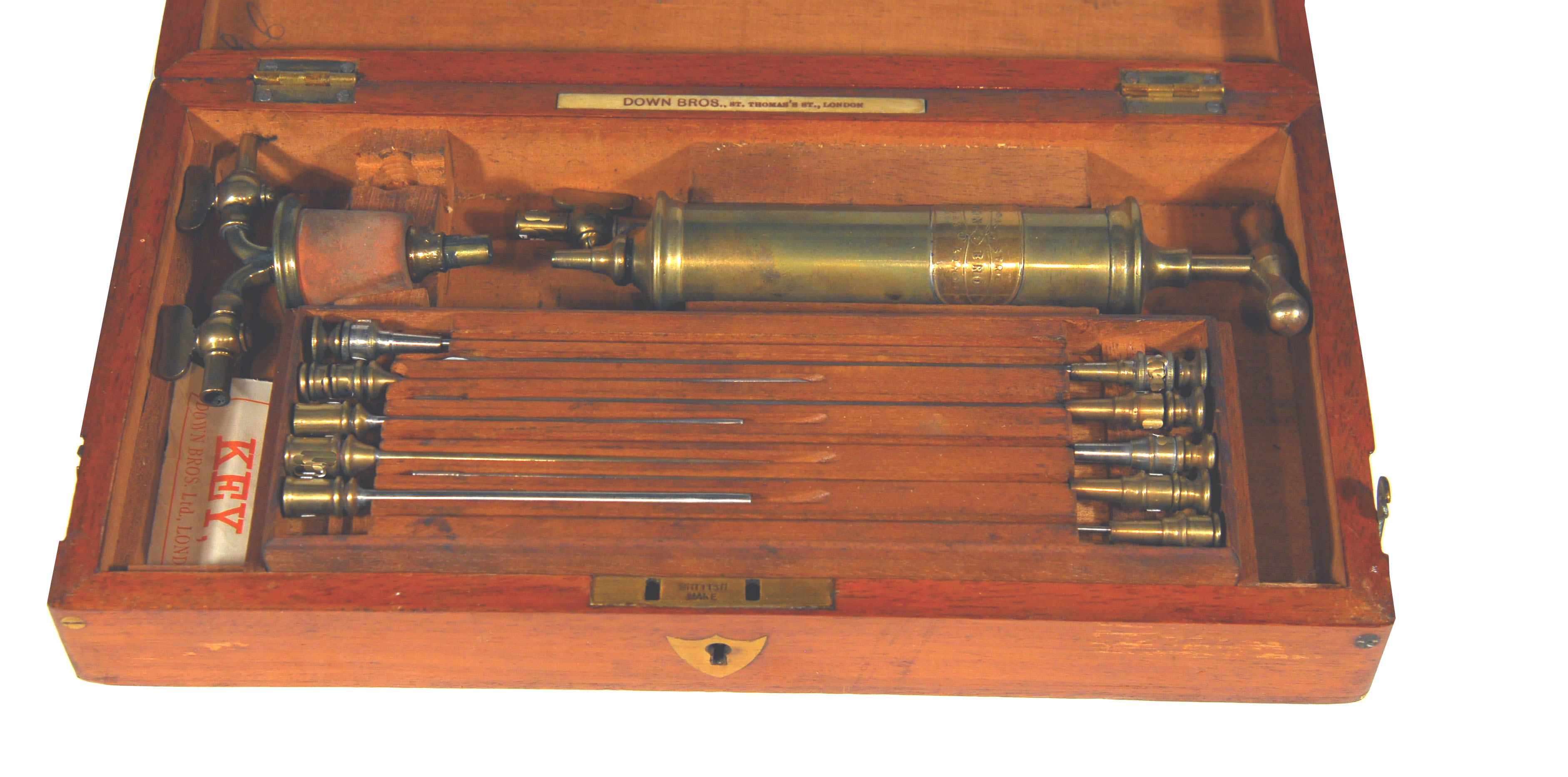 Enlarged image for image #2