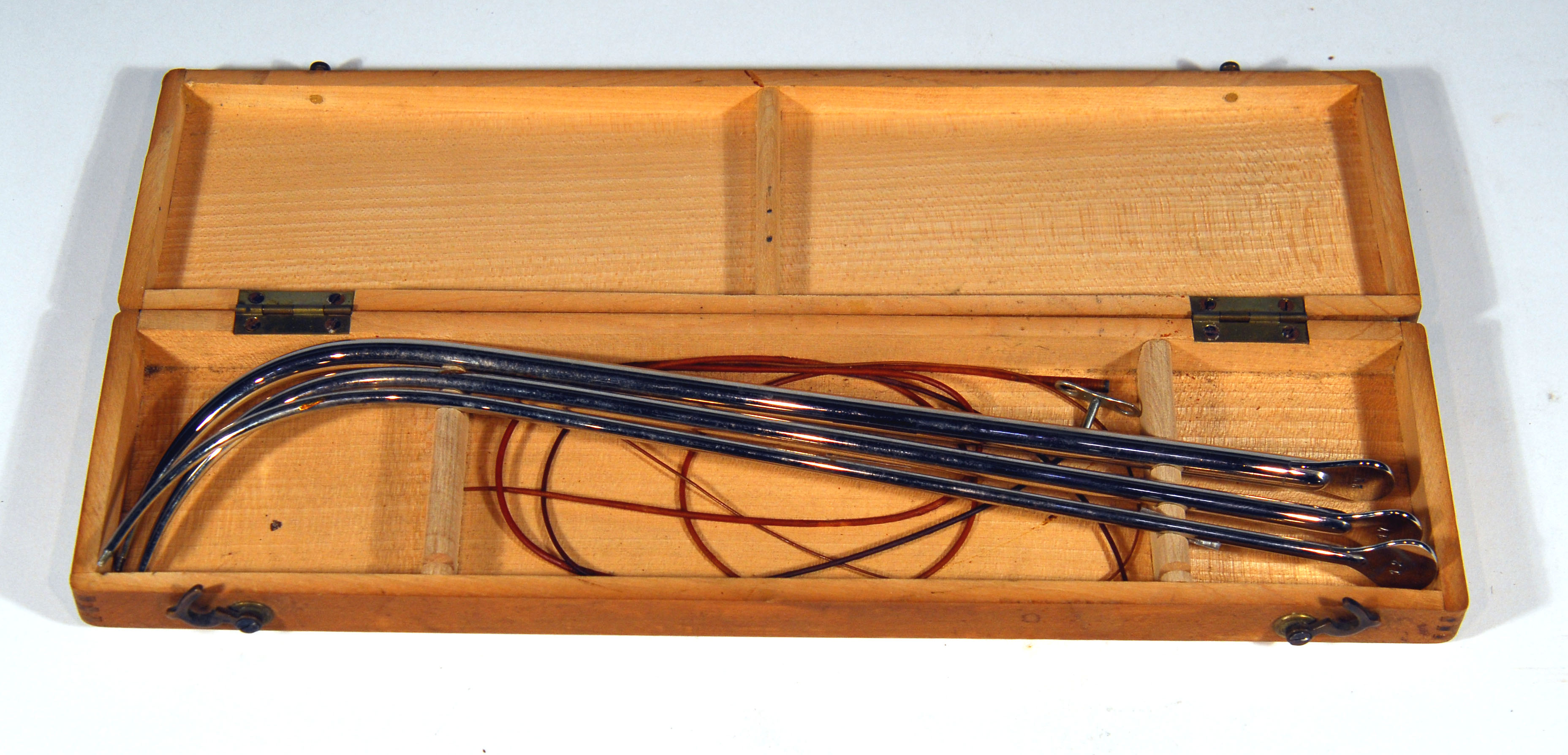 Enlarged image for image #1