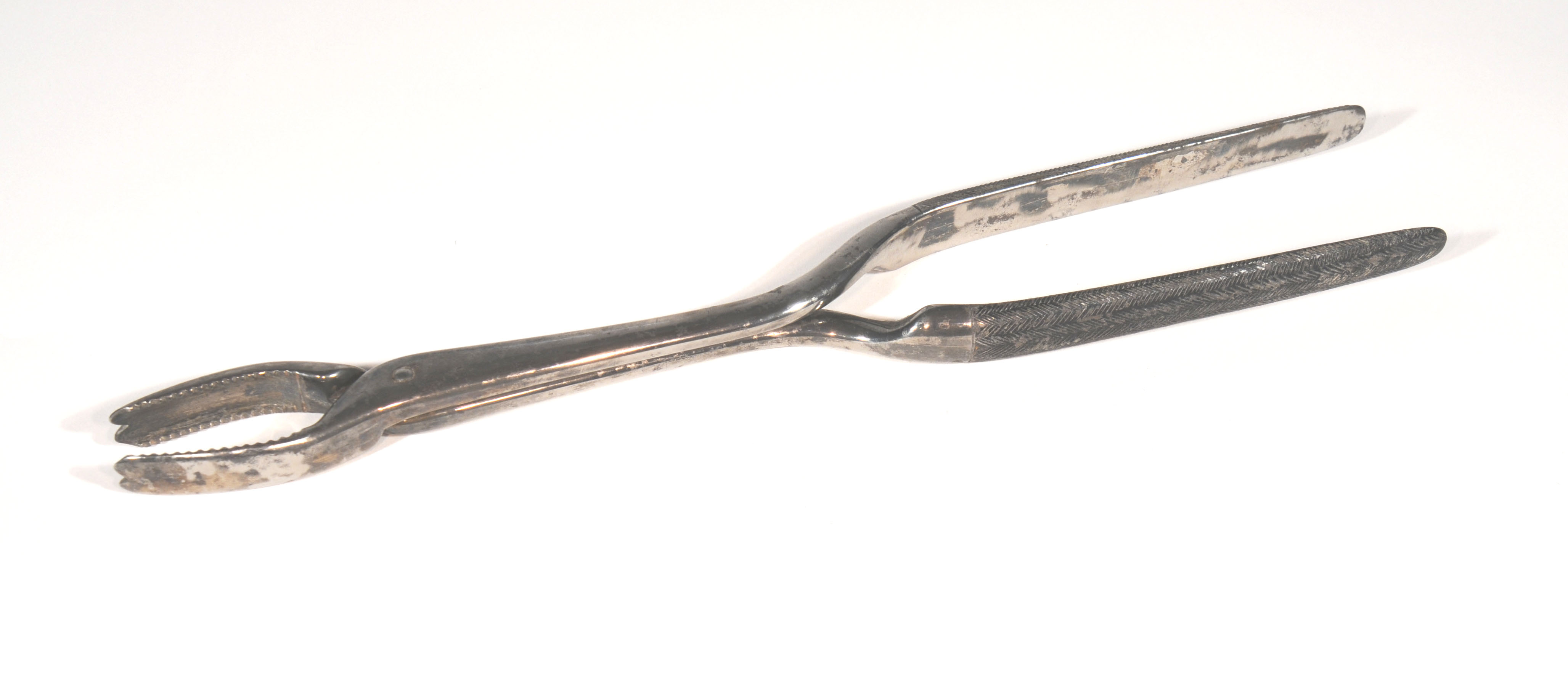 Enlarged image for image #1