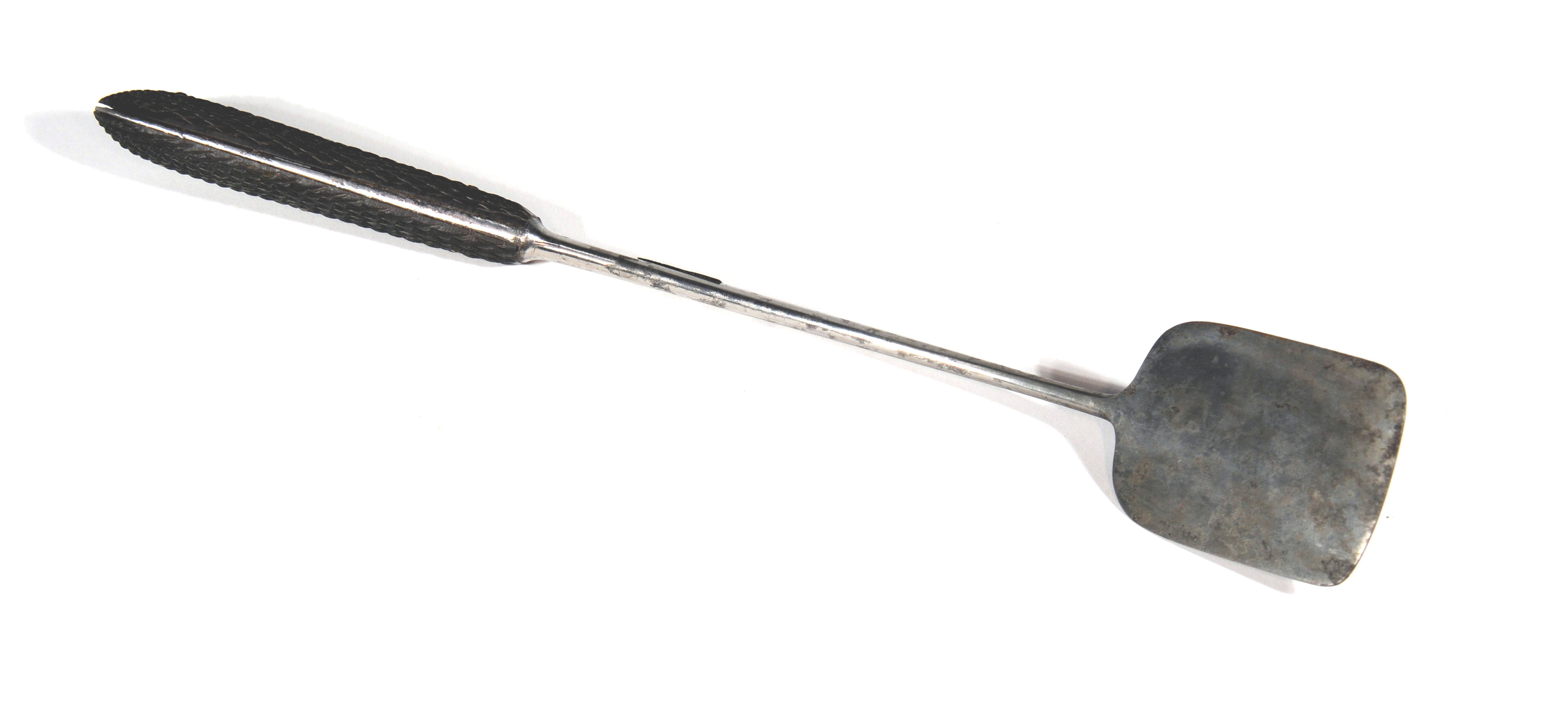 Enlarged image for image #1