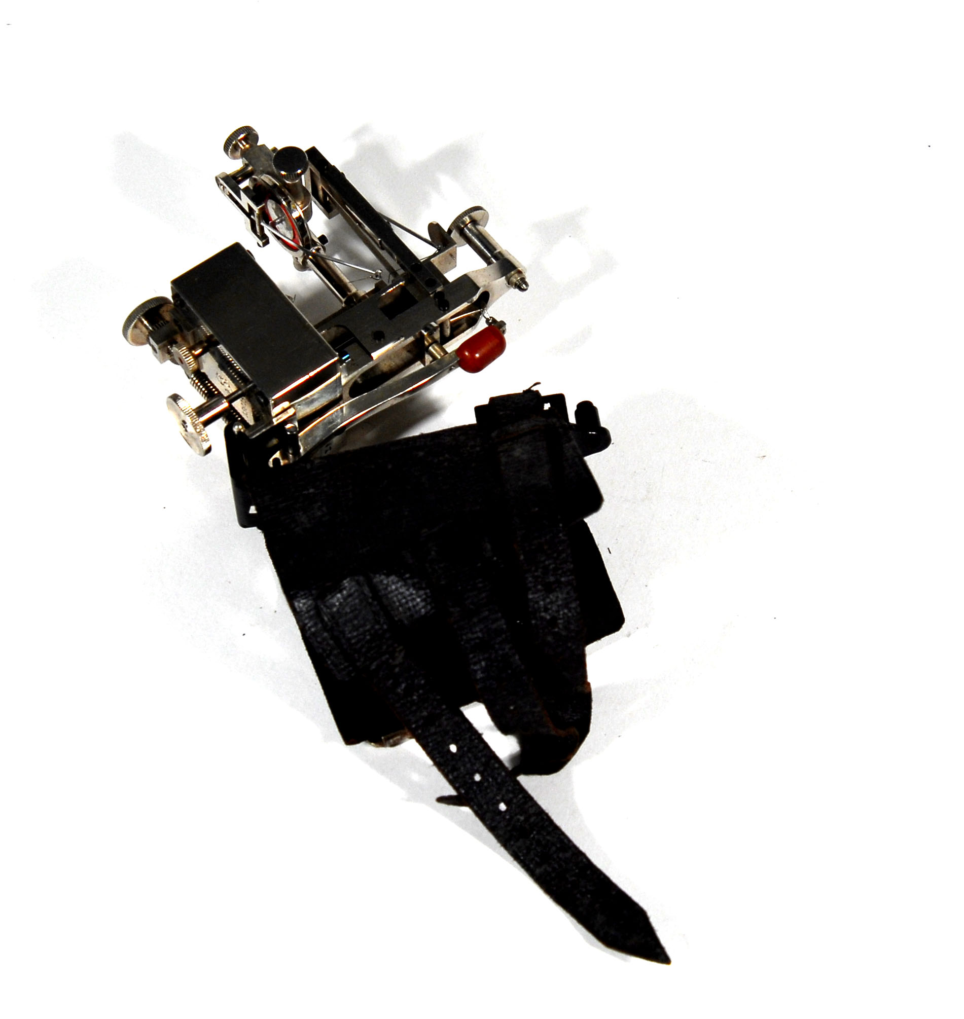 Enlarged image for image #1