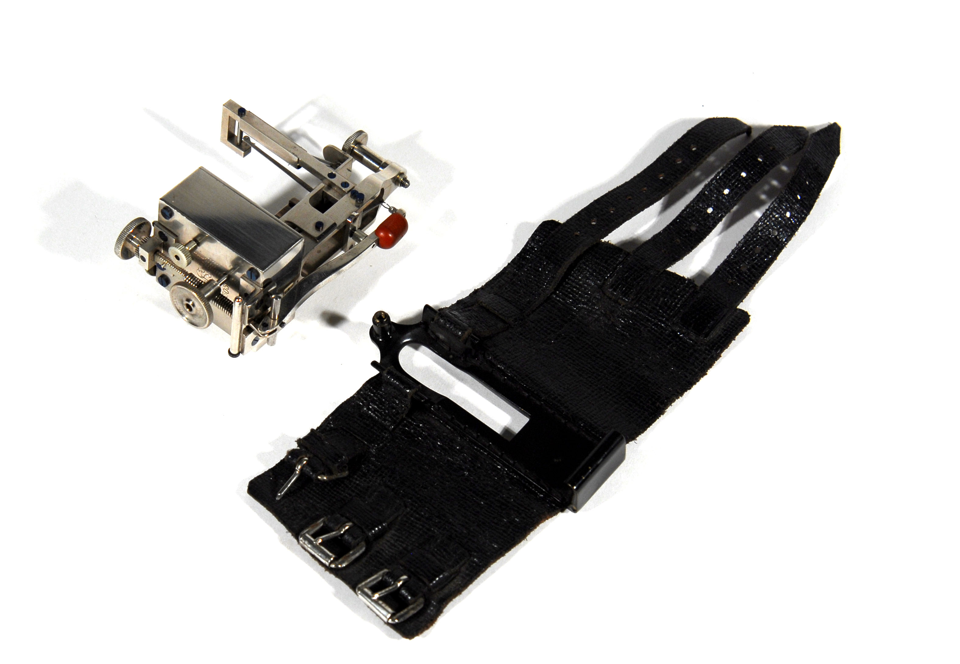 Enlarged image for image #2