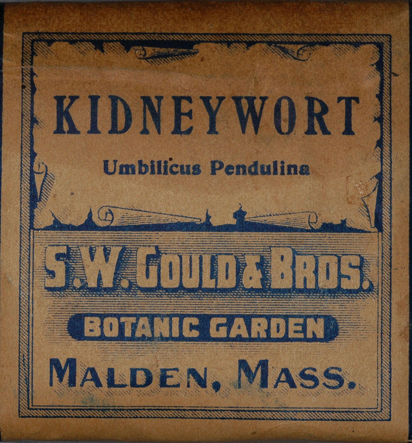 Enlarged image for image #1