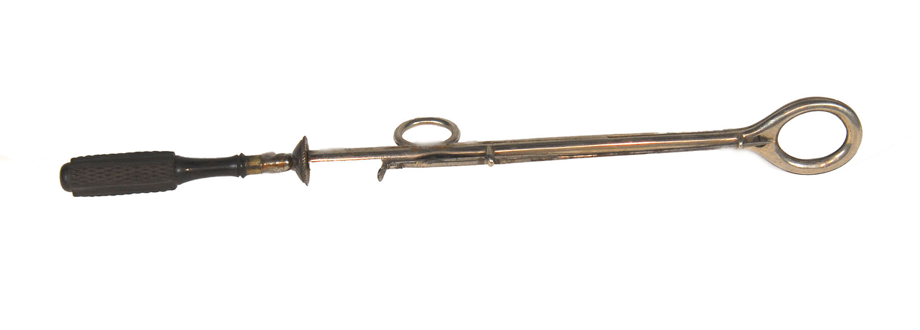 Enlarged image for image #1