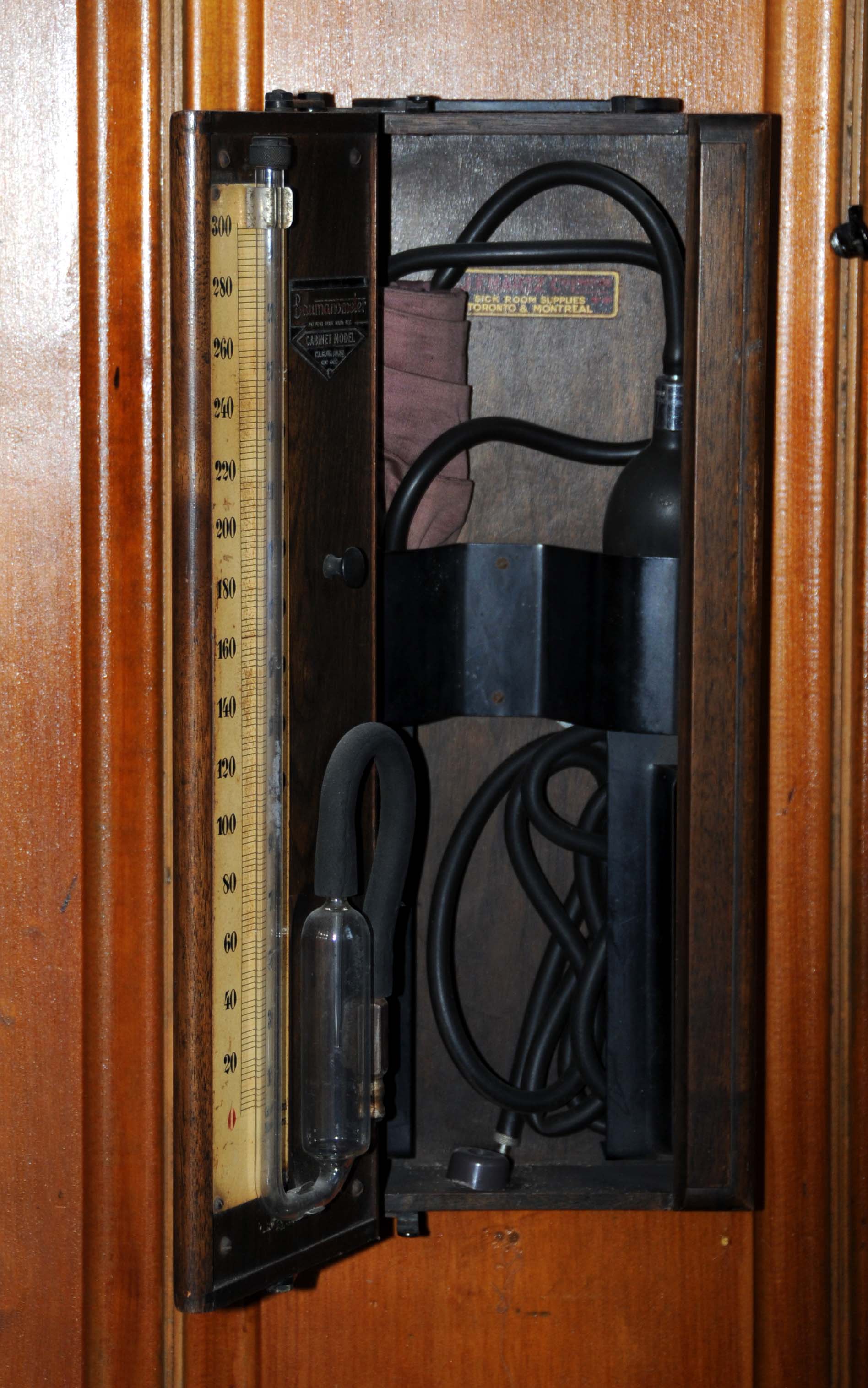 Enlarged image for image #2