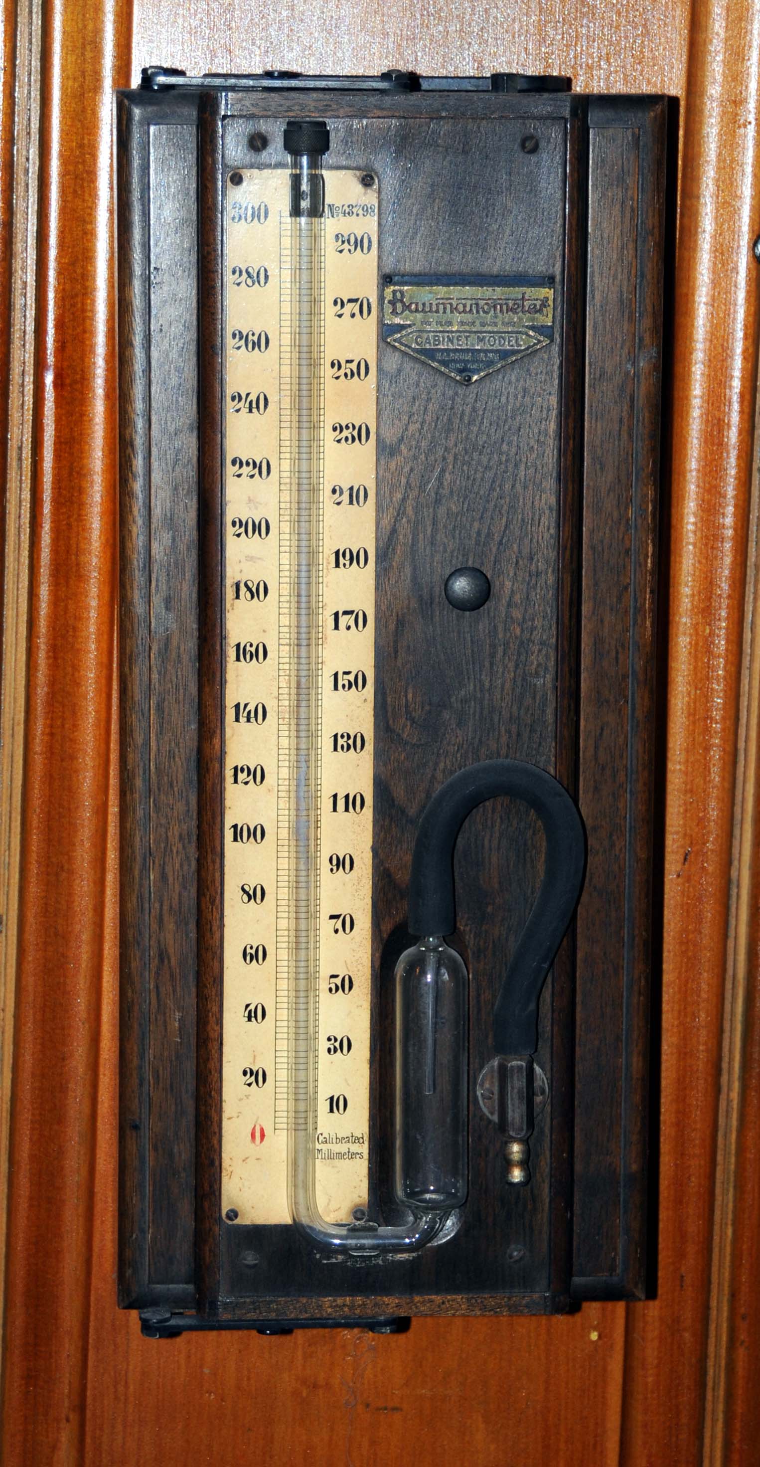 Enlarged image for image #5