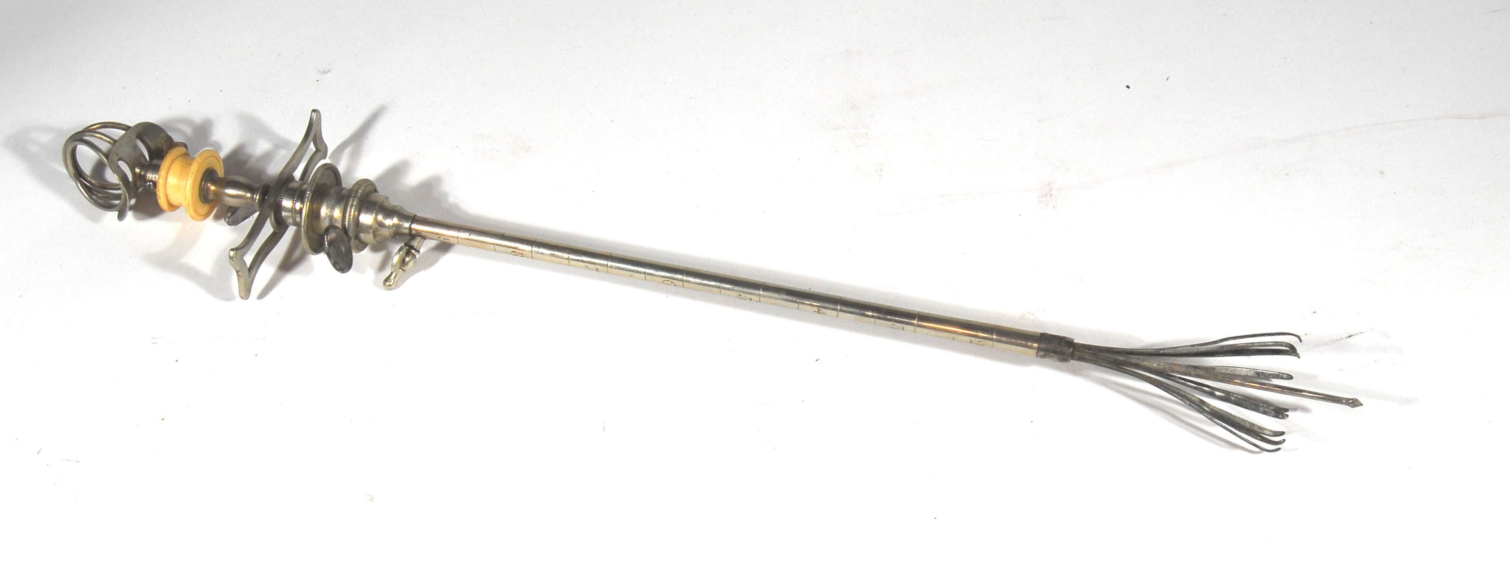 Enlarged image for image #1