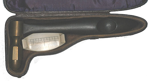 Enlarged image for image #2