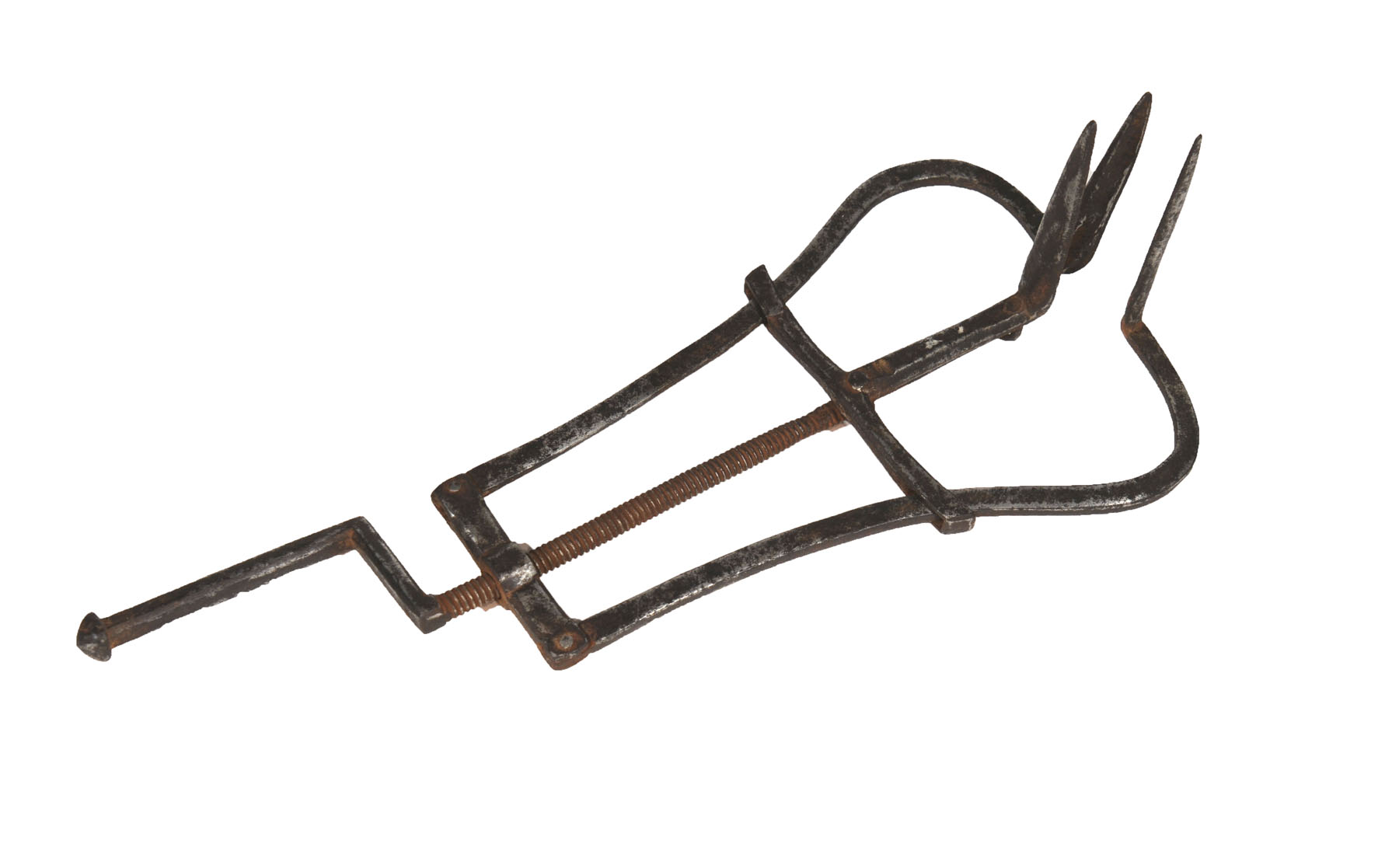 Enlarged image for image #1