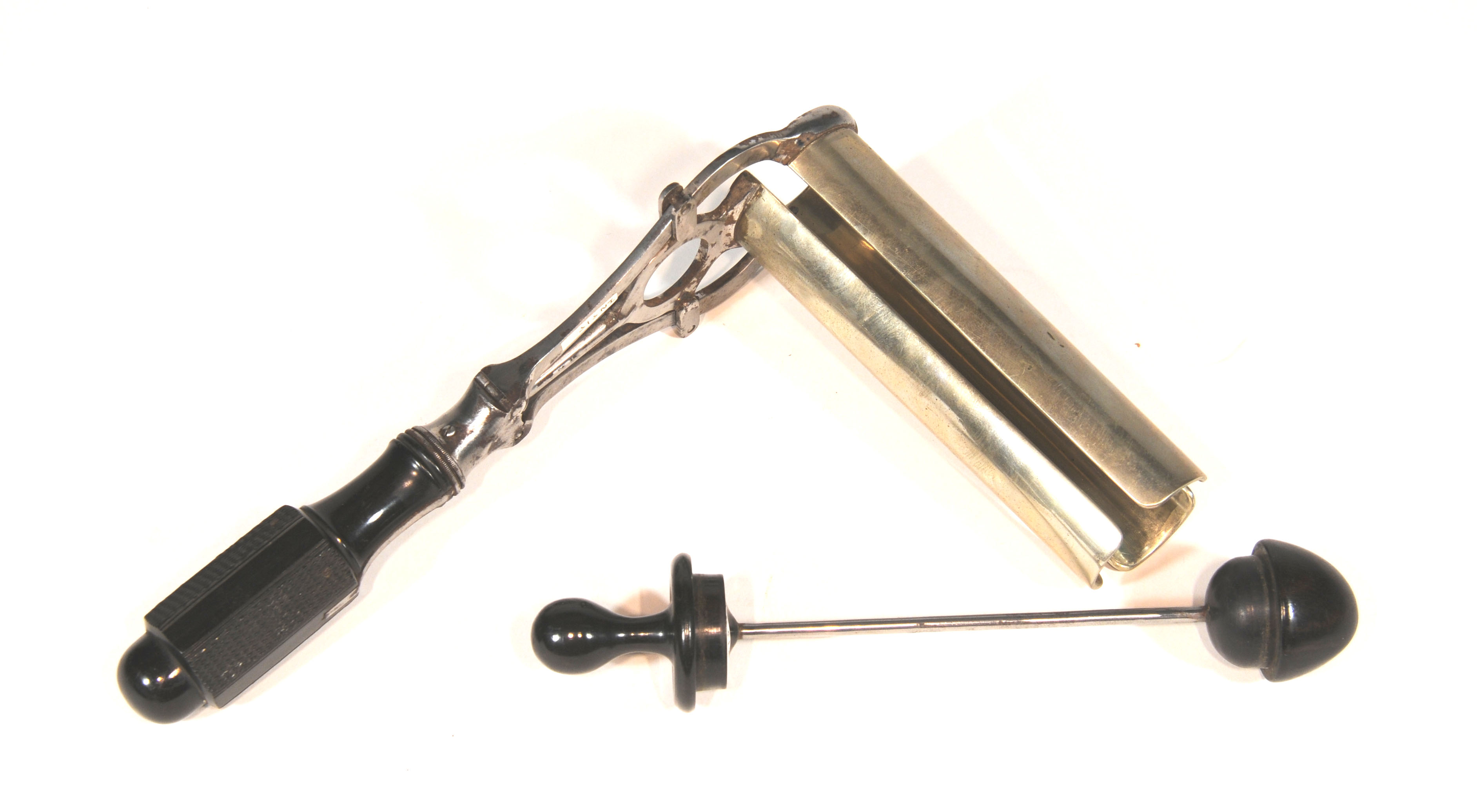 Enlarged image for image #2