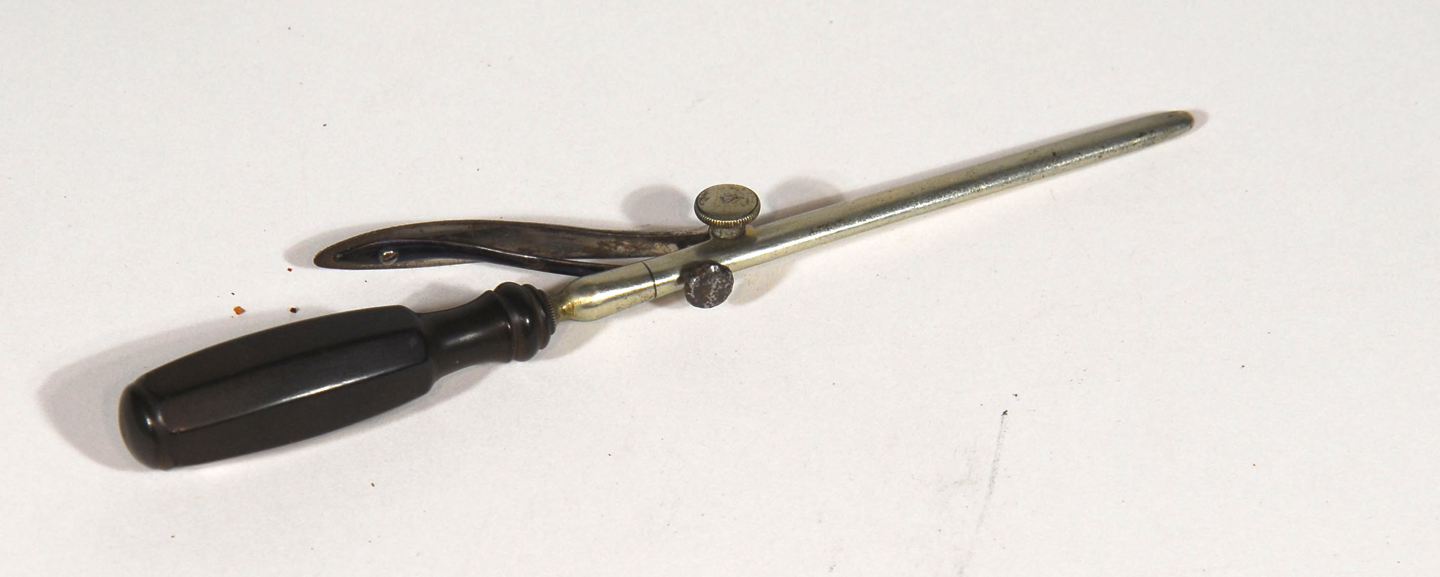 Enlarged image for image #1