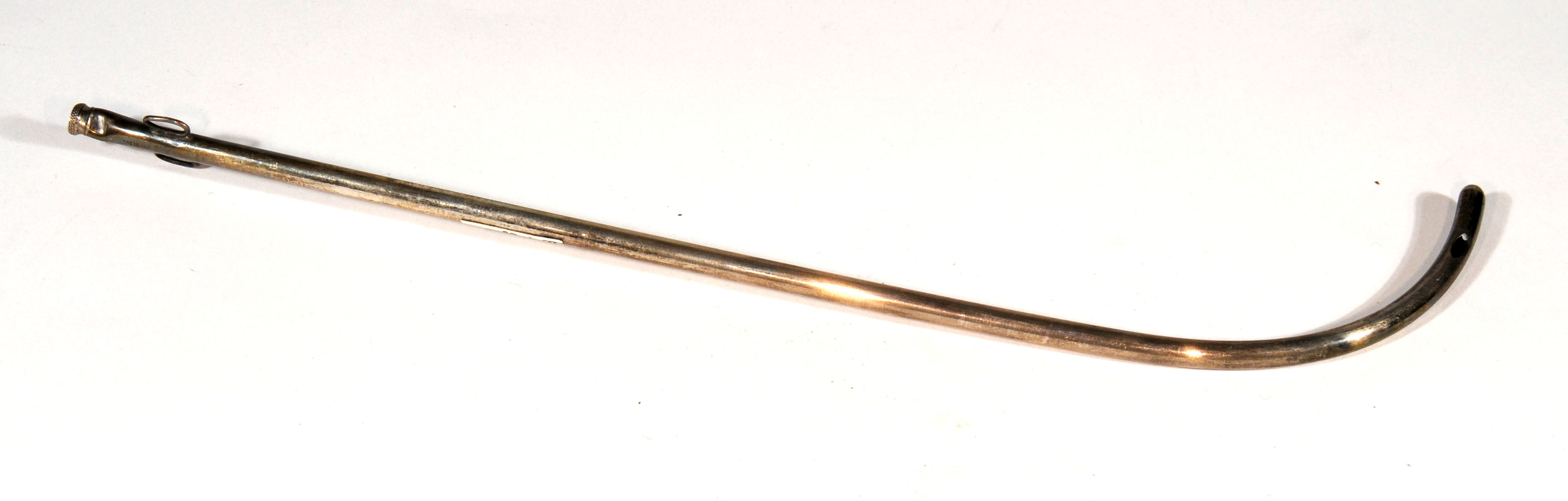 Enlarged image for image #1