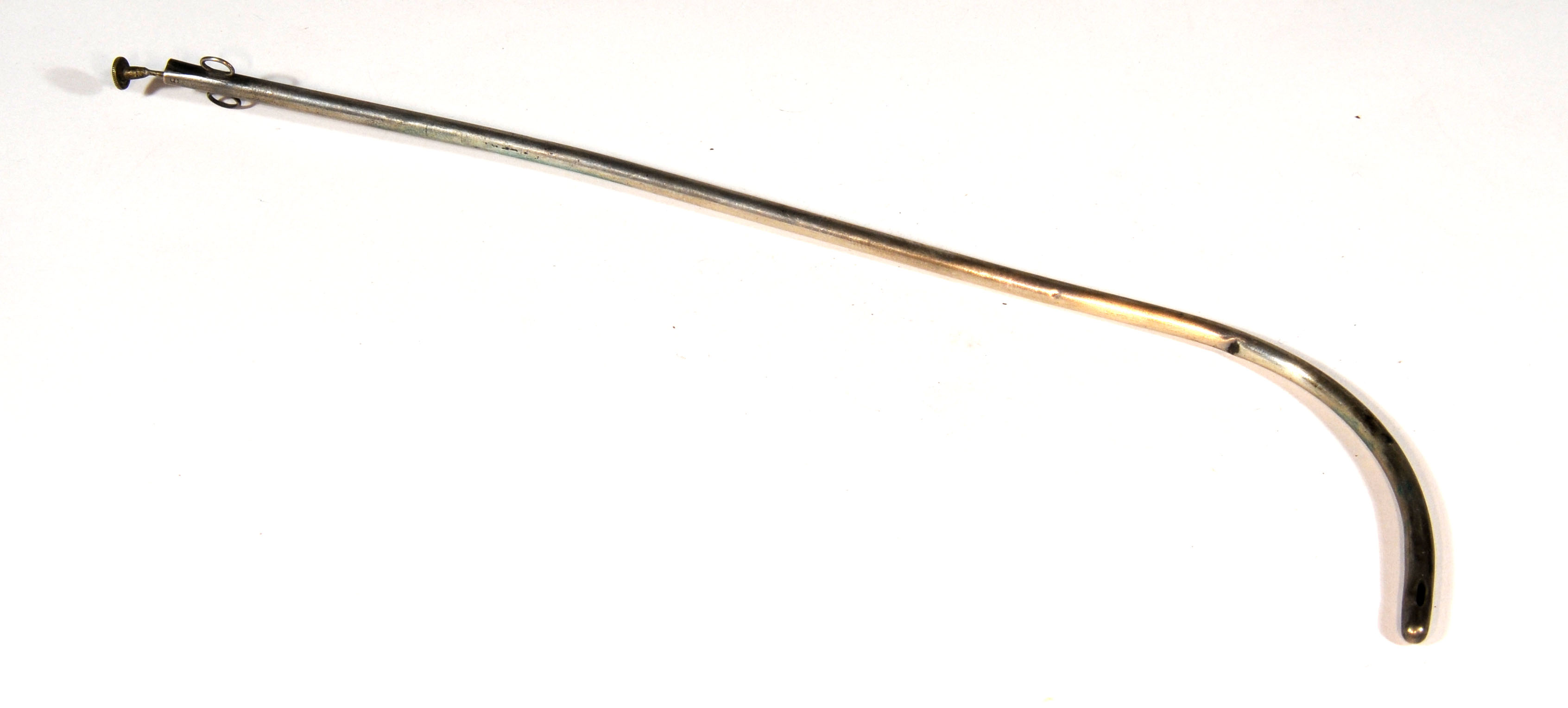 Enlarged image for image #1