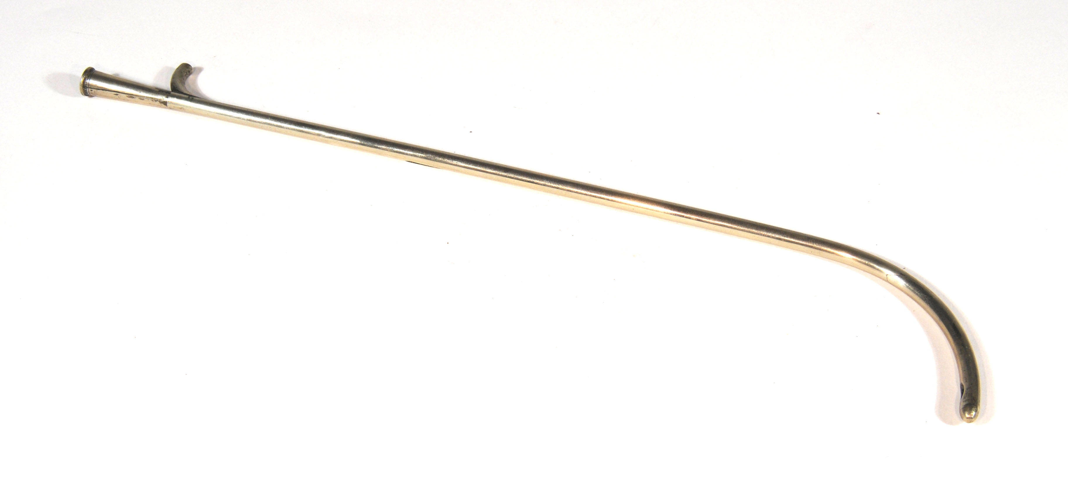 Enlarged image for image #1