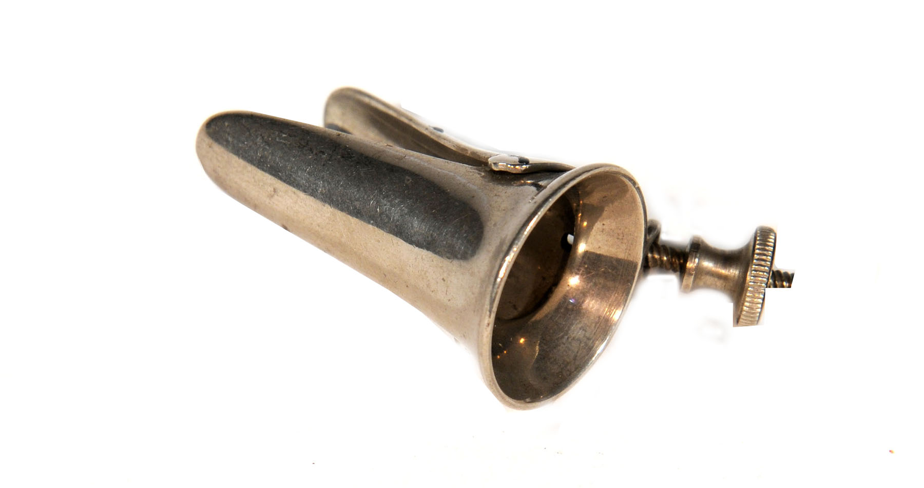 Enlarged image for image #1