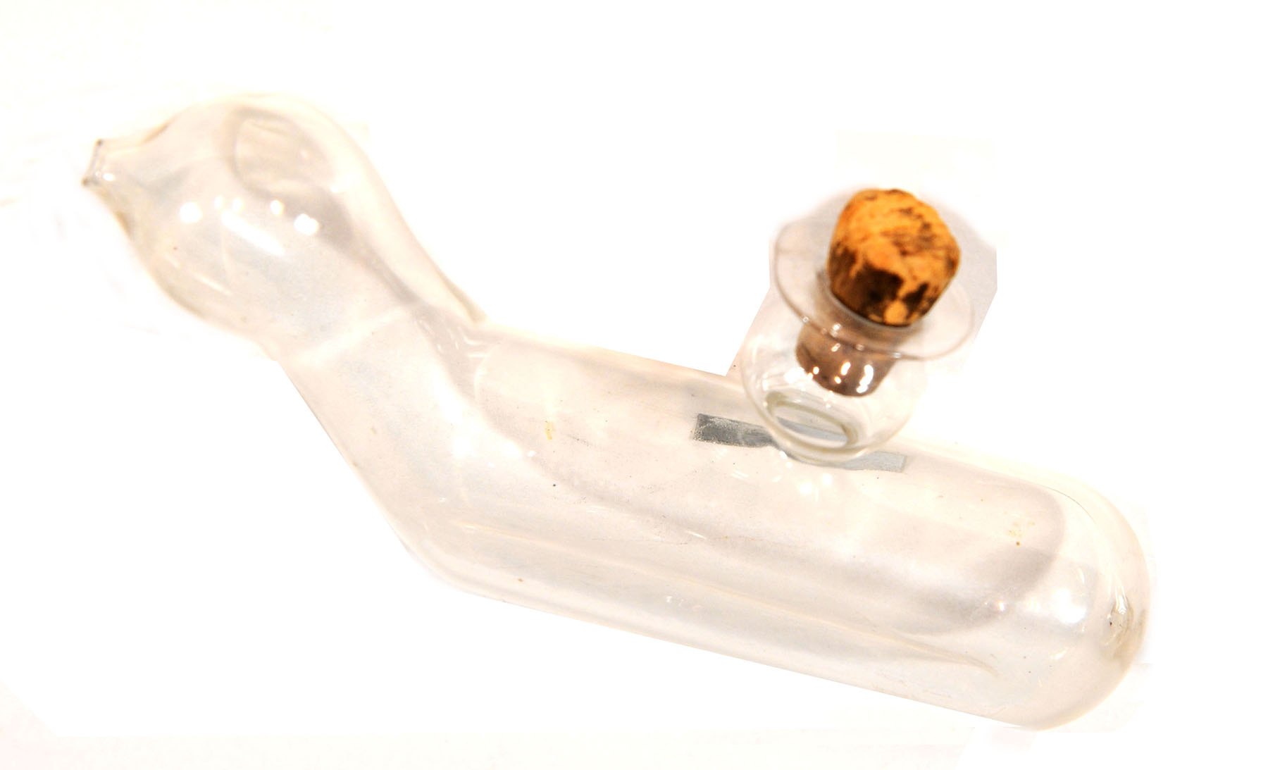 Enlarged image for image #1