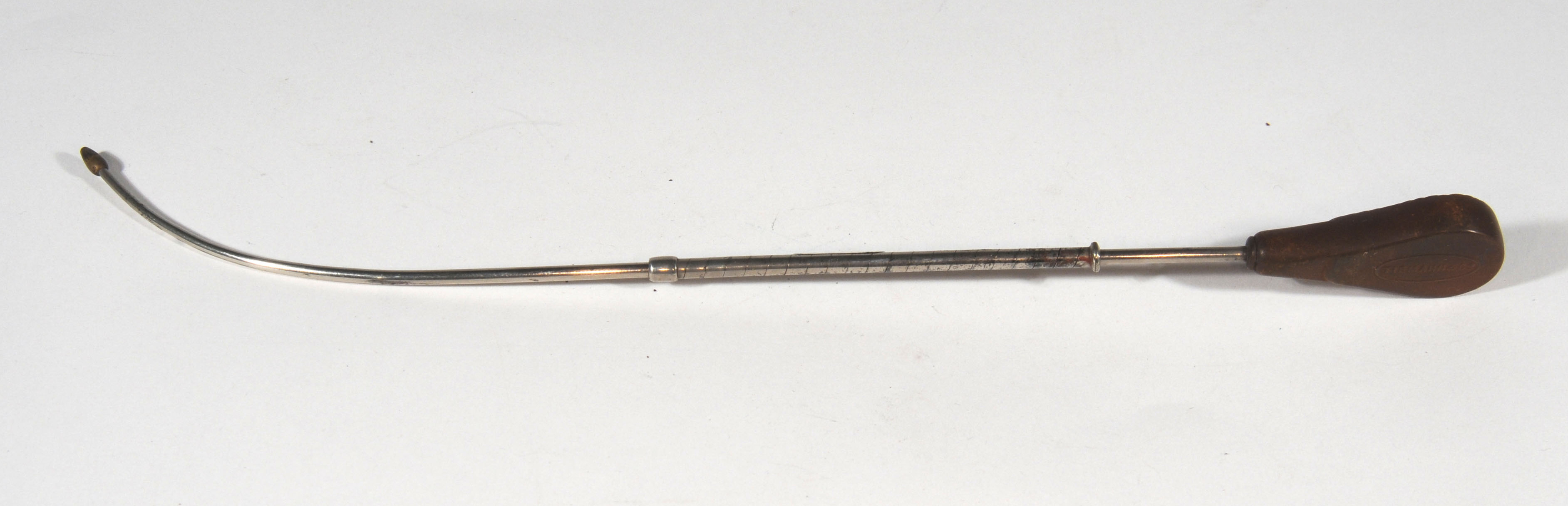 Enlarged image for image #1