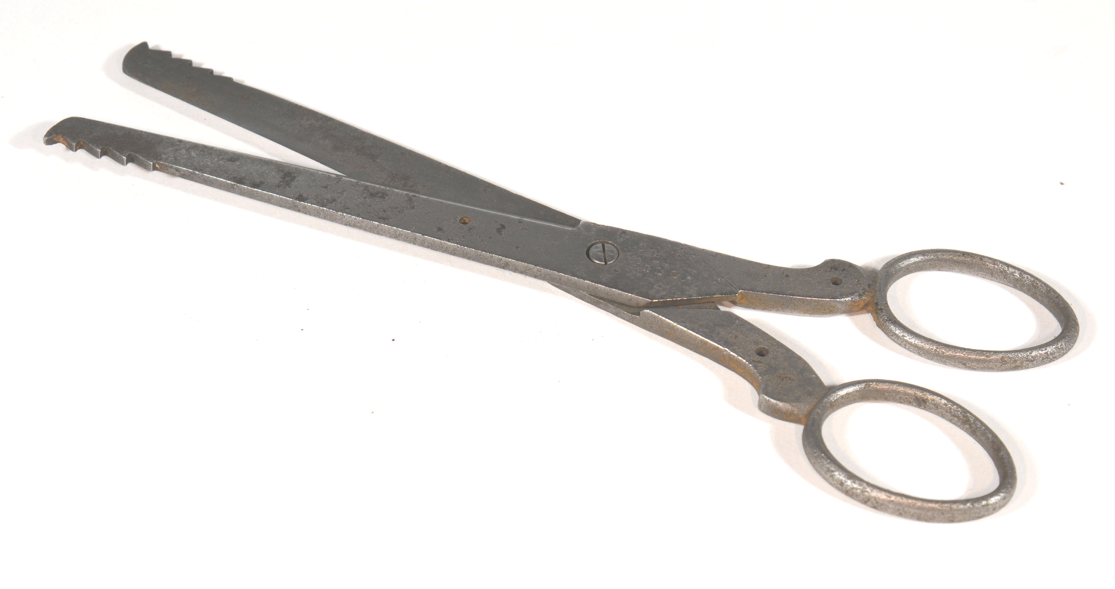 Enlarged image for image #1