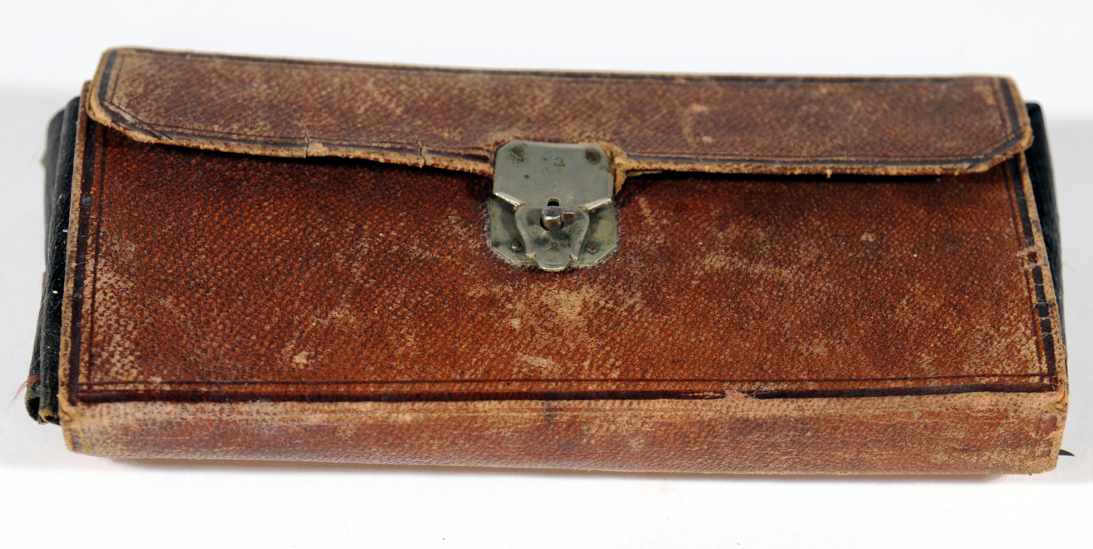 Enlarged image for image #2