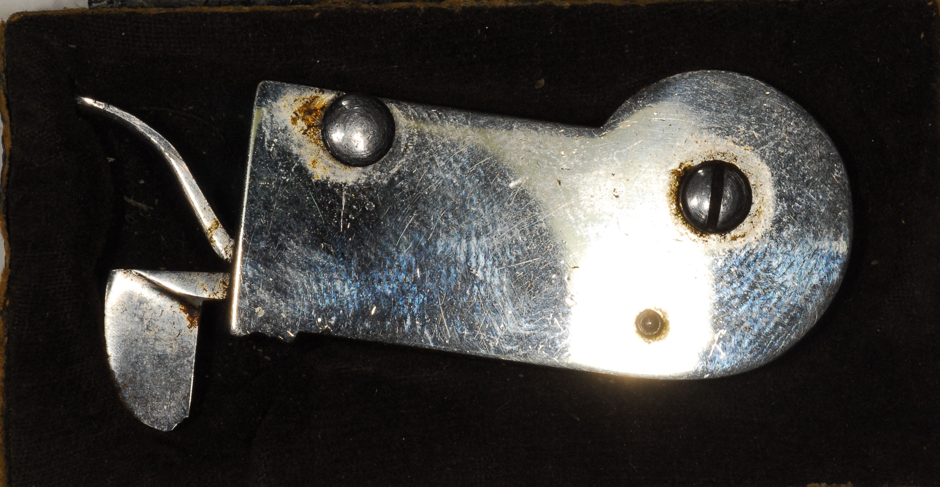 Enlarged image for image #1