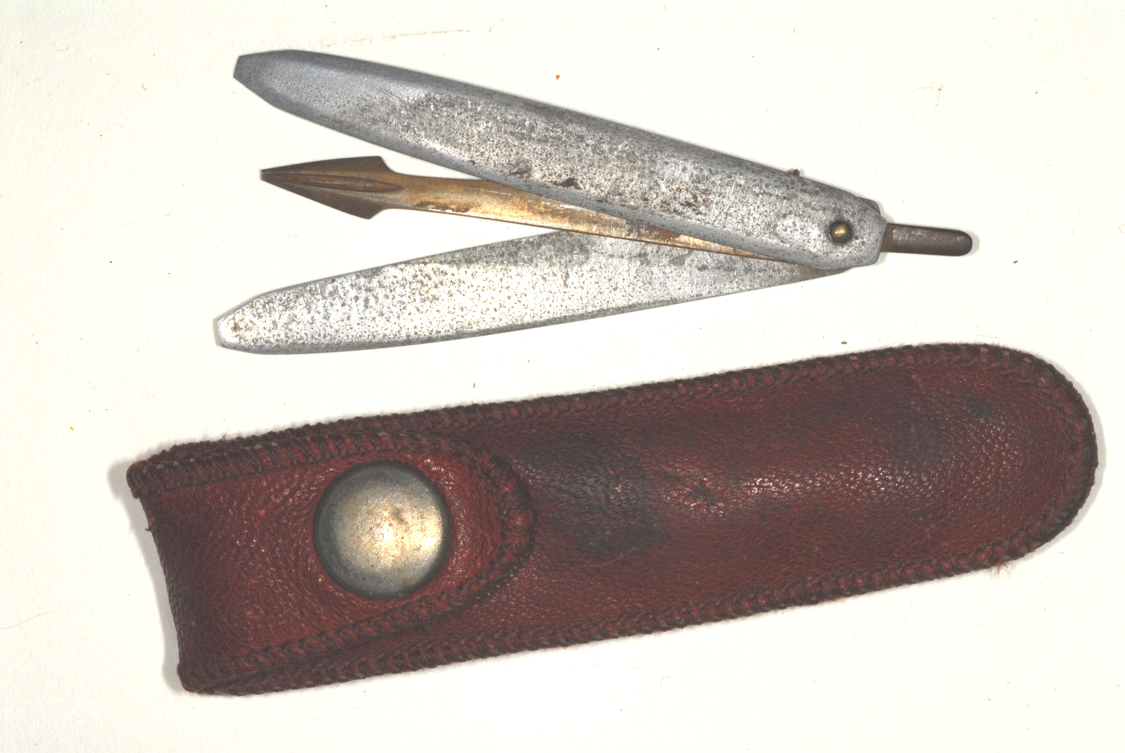 Enlarged image for image #1