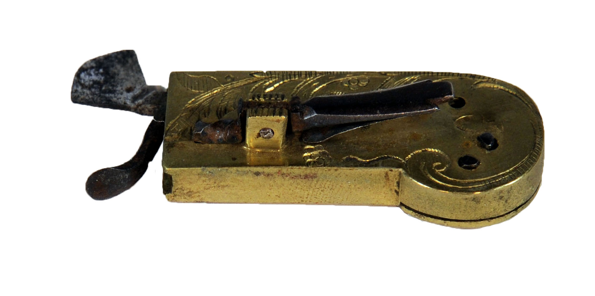 Enlarged image for image #1