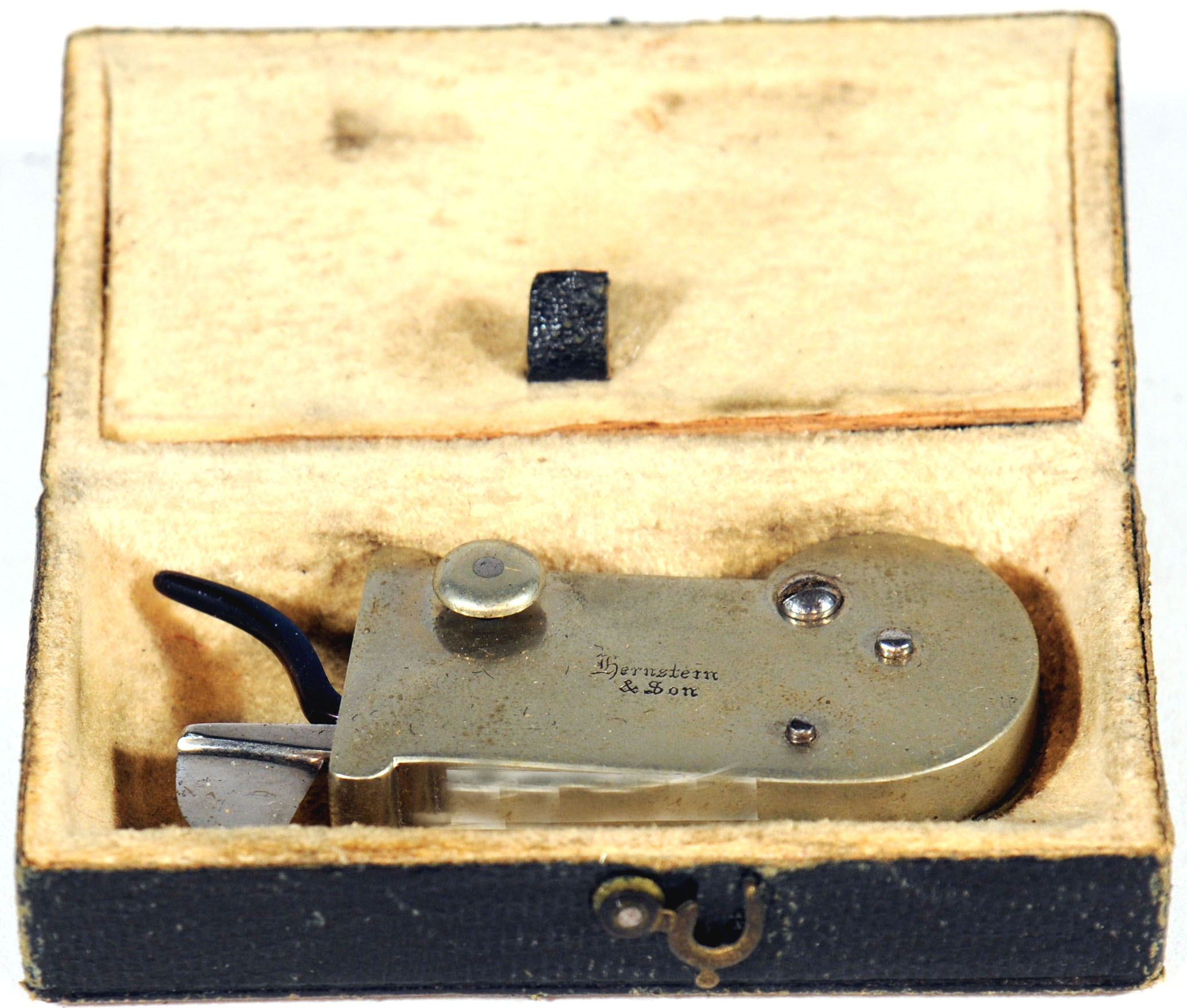 Enlarged image for image #1