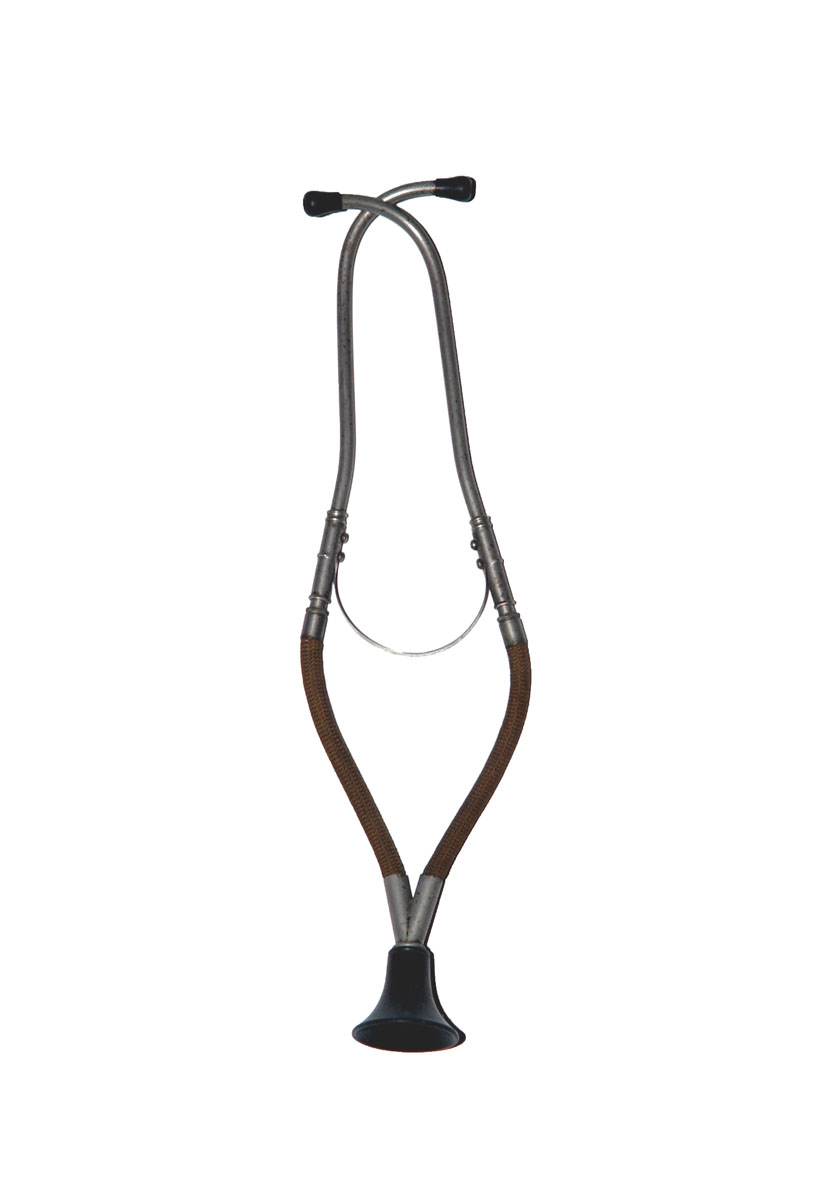 Enlarged image for image #1