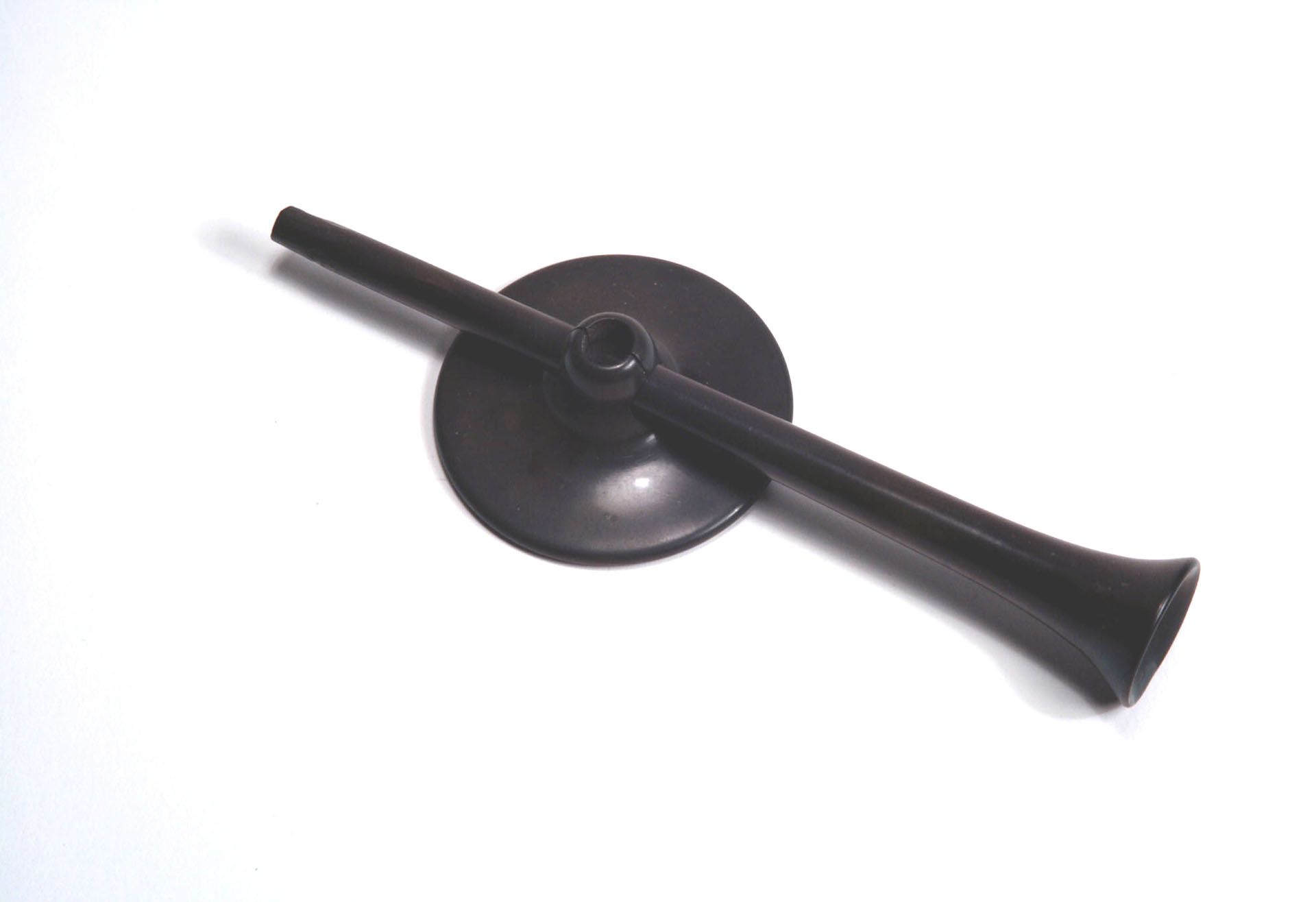 Enlarged image for image #2