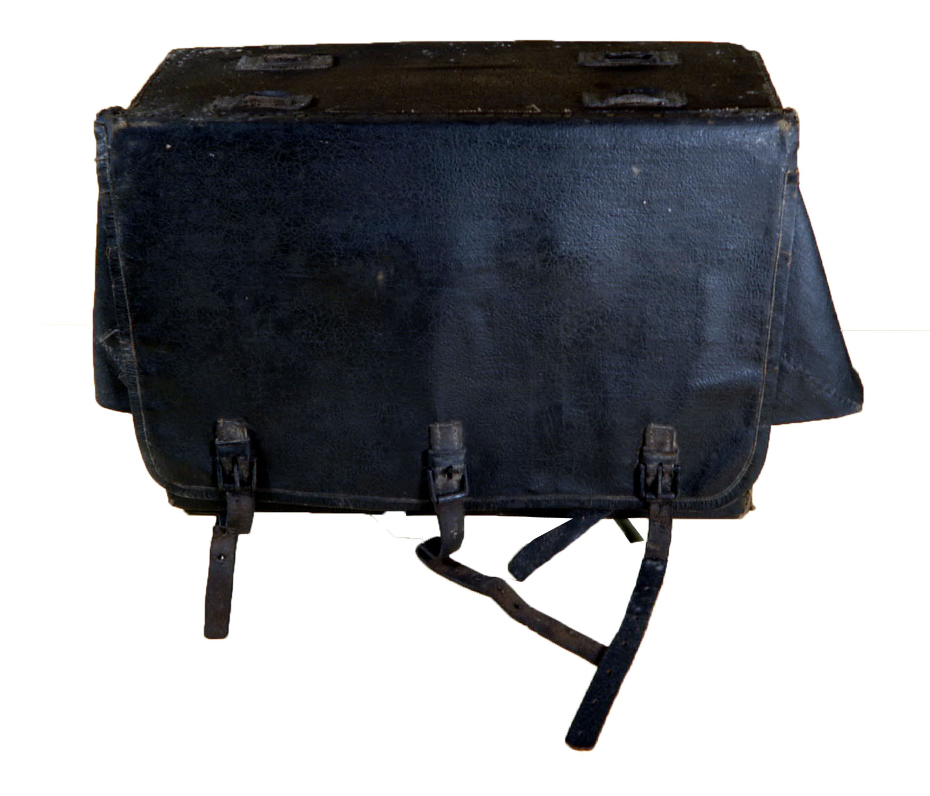 Enlarged image for image #1