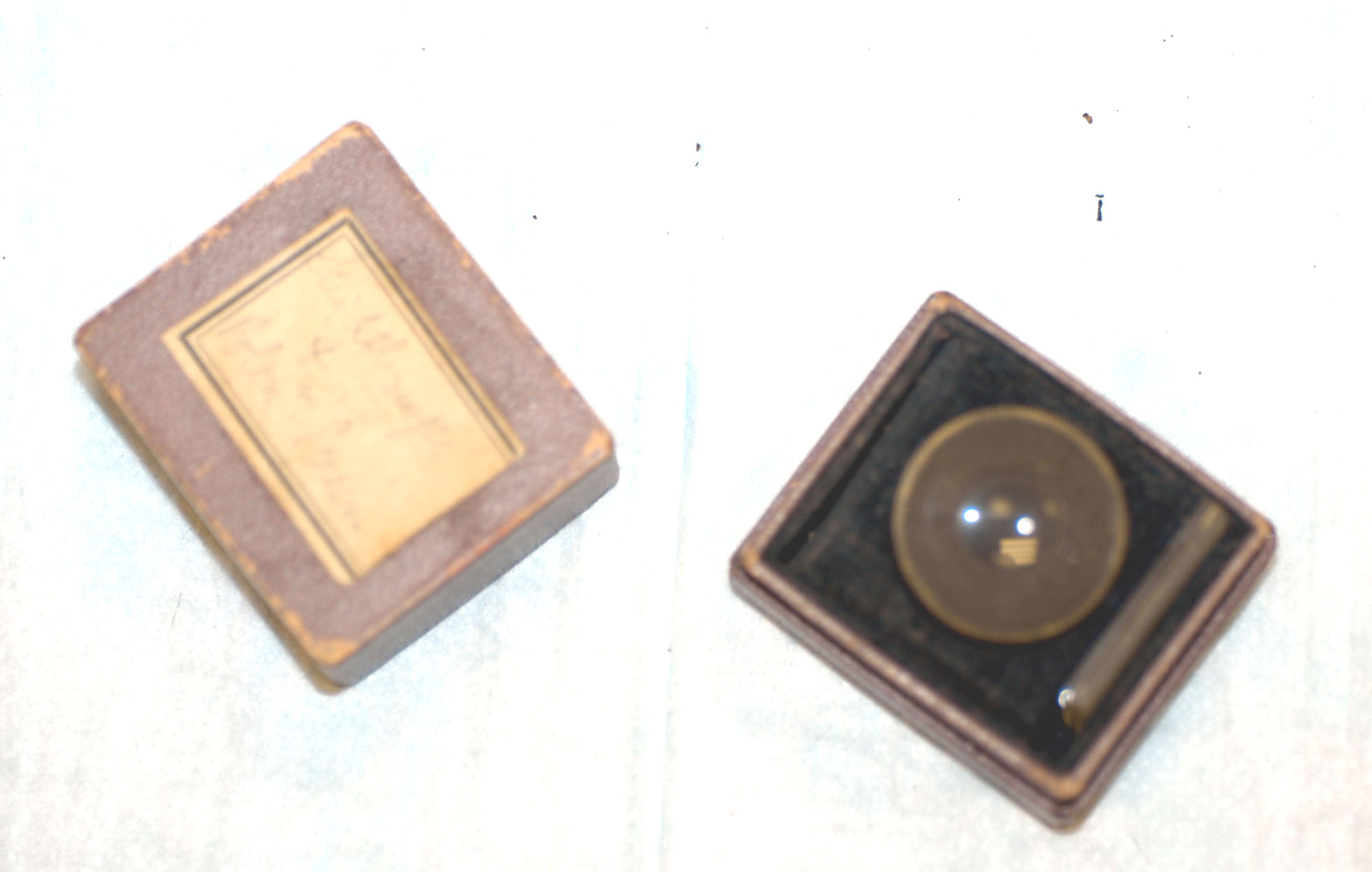 Enlarged image for image #3